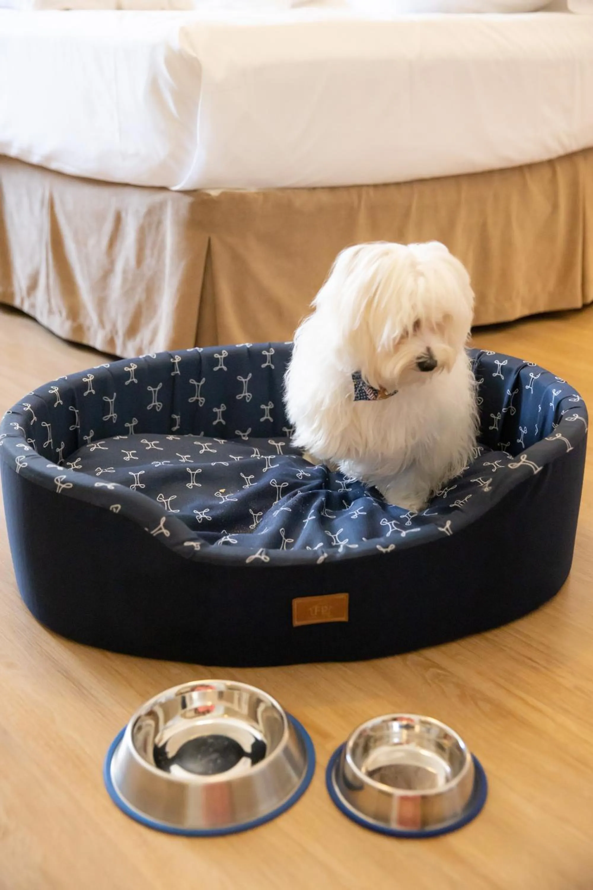 Pets in Planalto Select Hotel Ponta Grossa