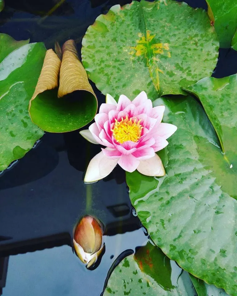 Lake view in Guesthouse A Lareira