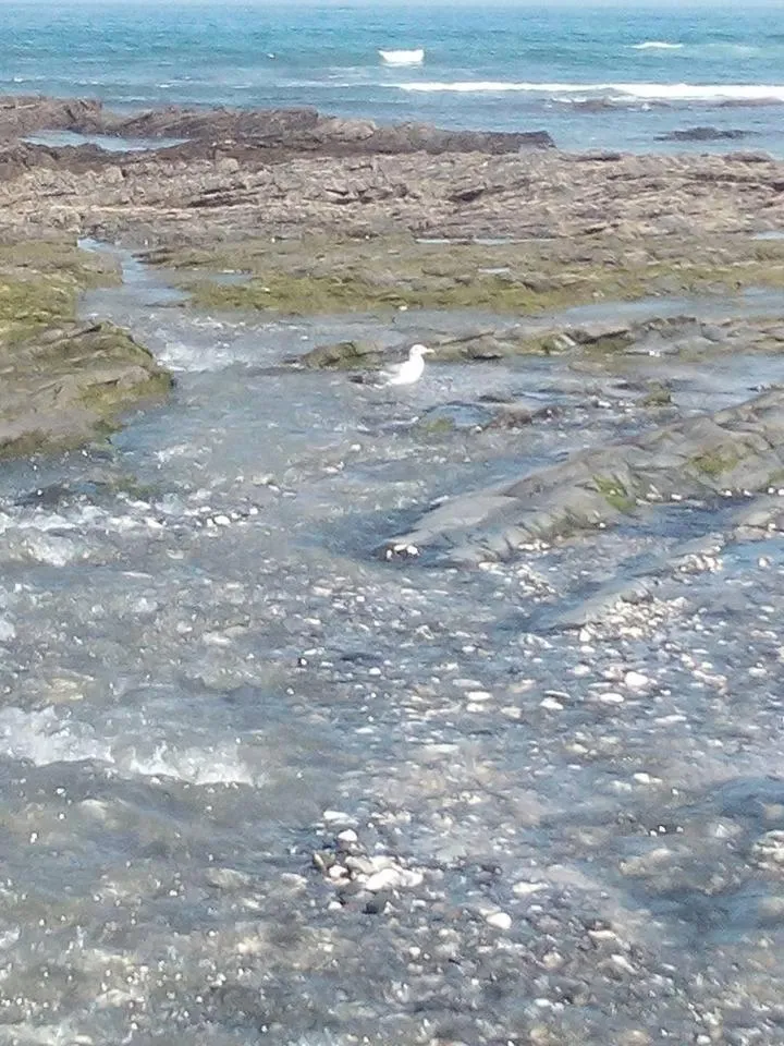 Fishing in Guesthouse A Lareira
