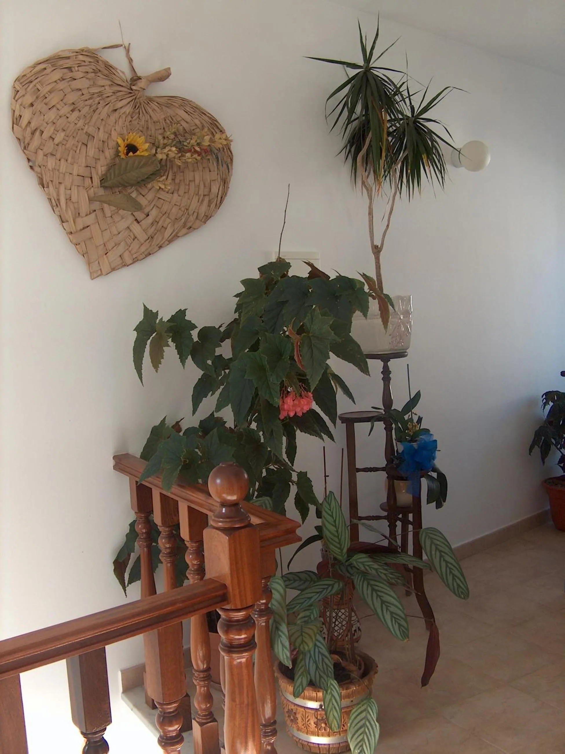 Balcony/Terrace in Guesthouse A Lareira