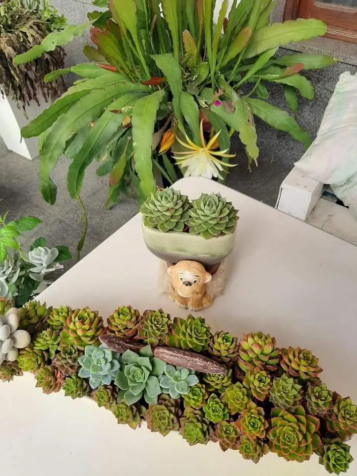 Guesthouse A Lareira