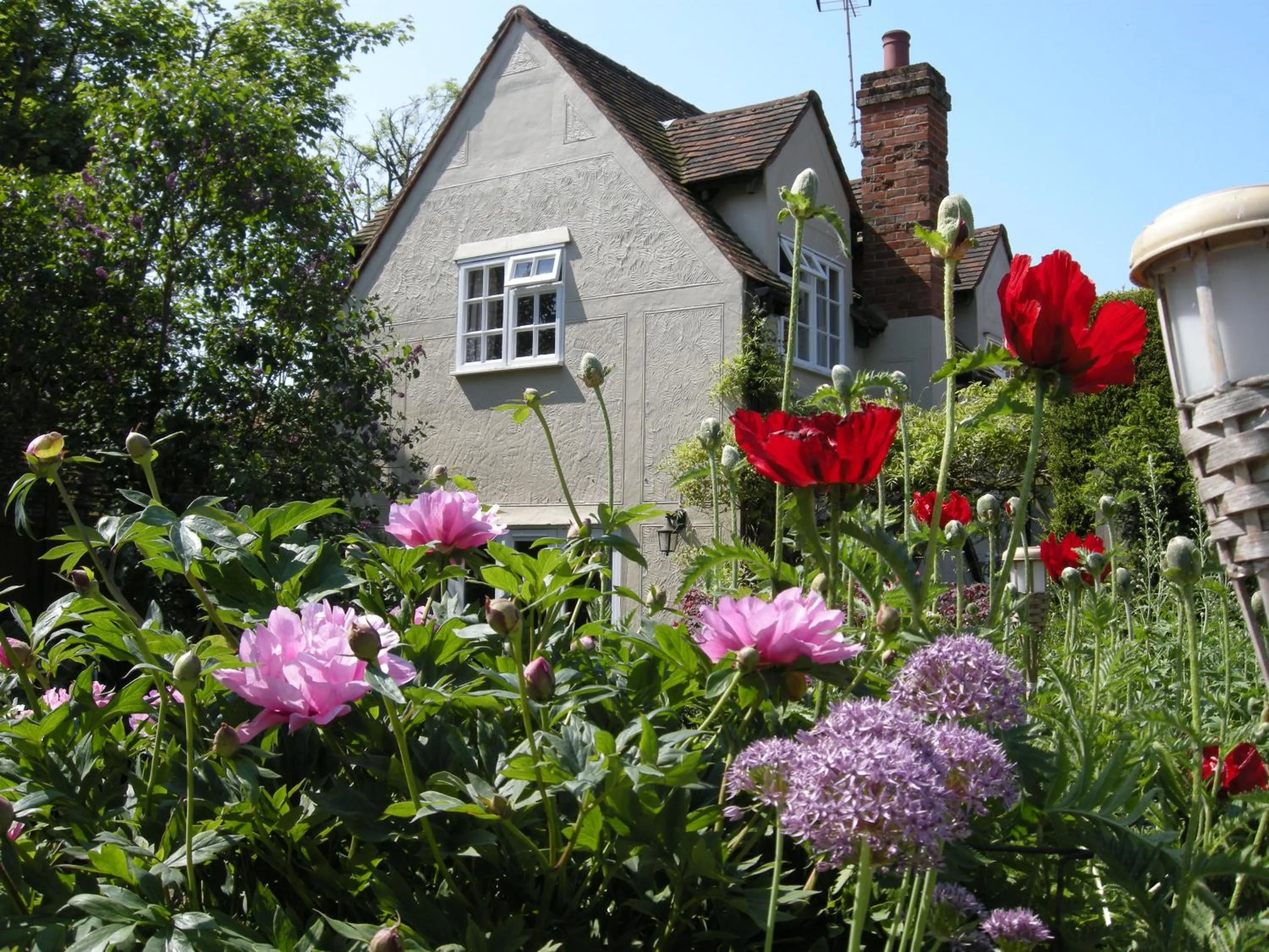 Motts Bed & Breakfast