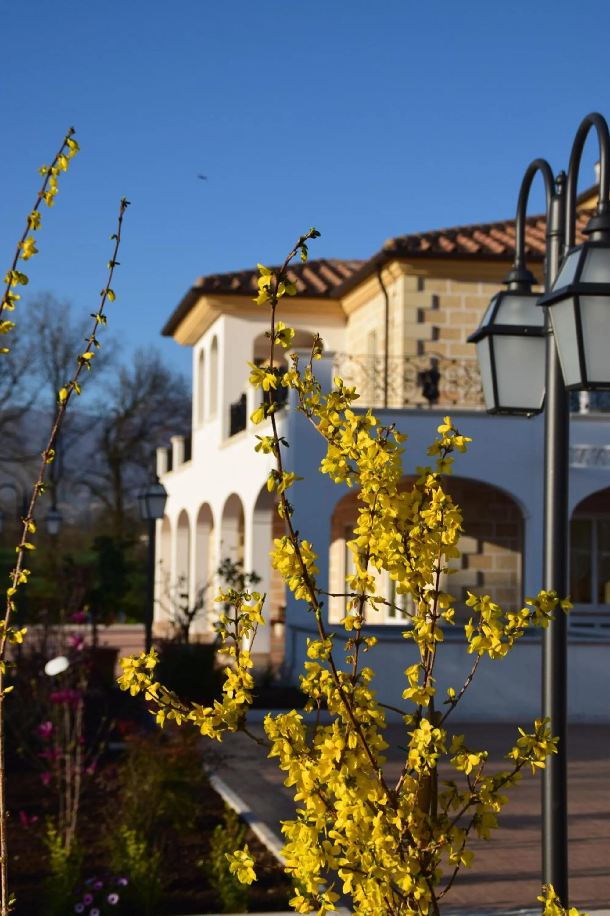 Property building in Anima Antiqua Relais & Spa