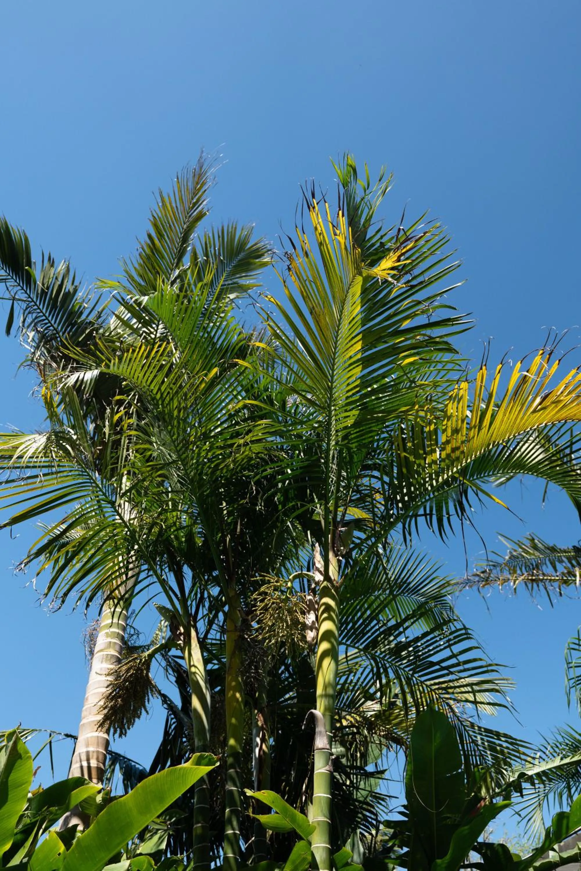 Natural landscape in Stay Kerikeri