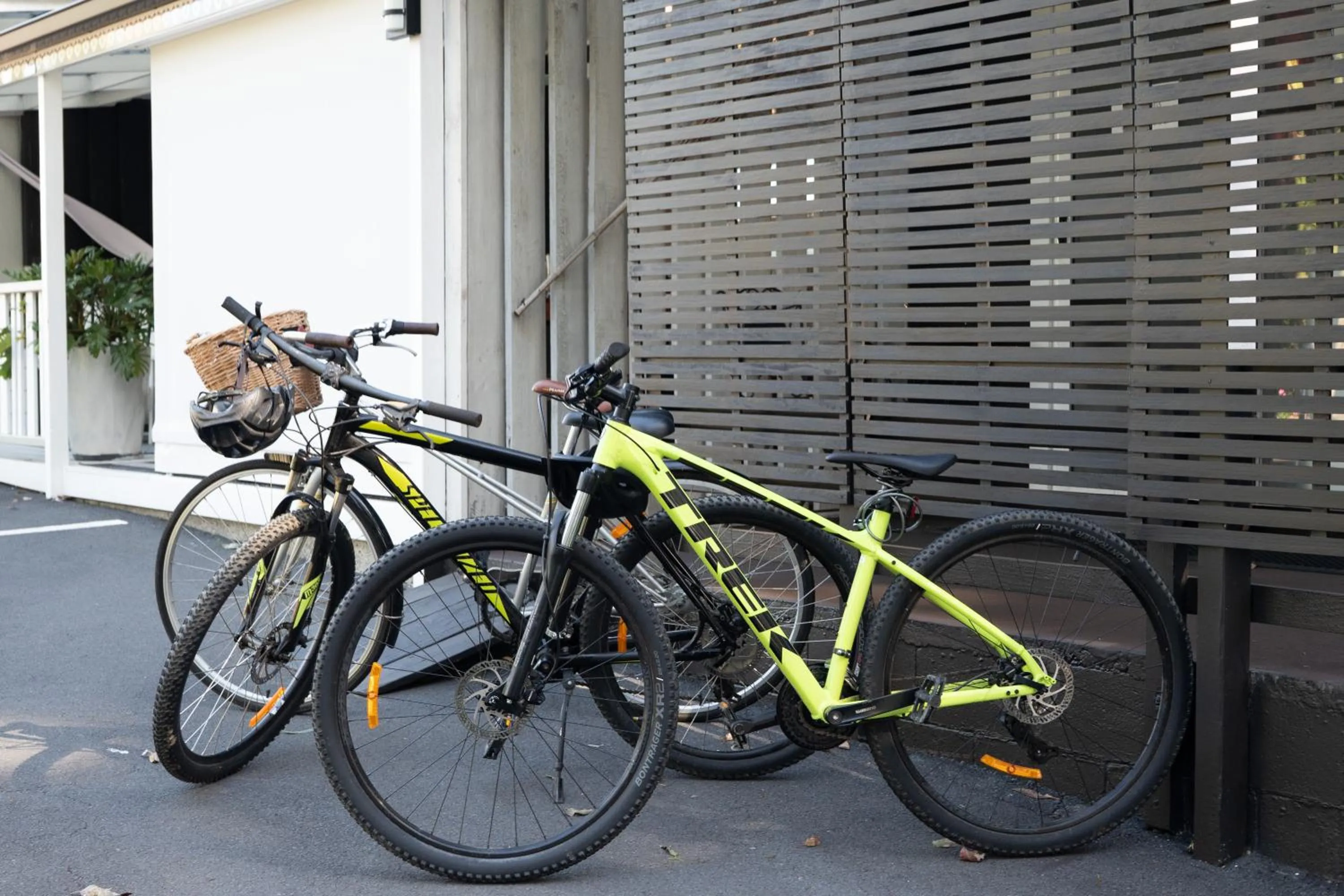 Cycling in Stay Kerikeri