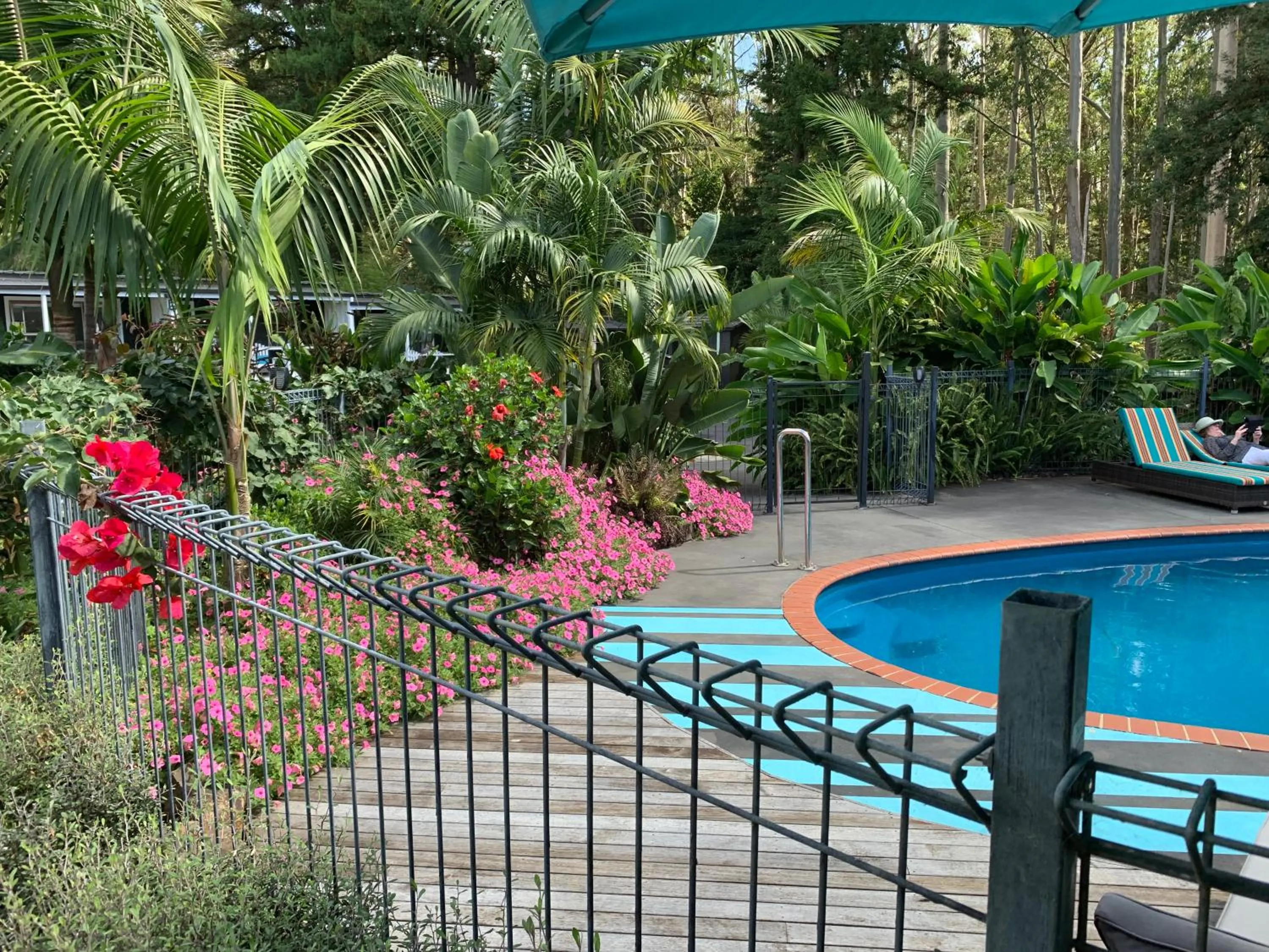 Swimming pool in Stay Kerikeri