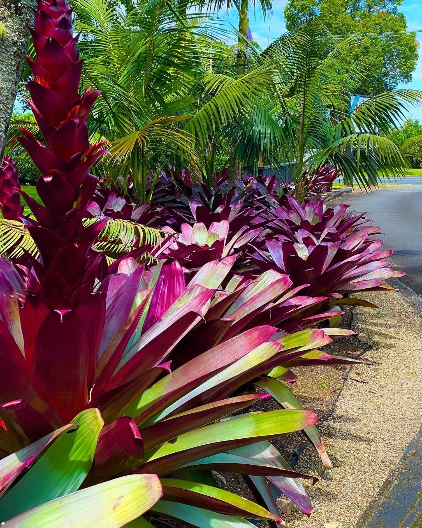 View (from property/room) in Stay Kerikeri