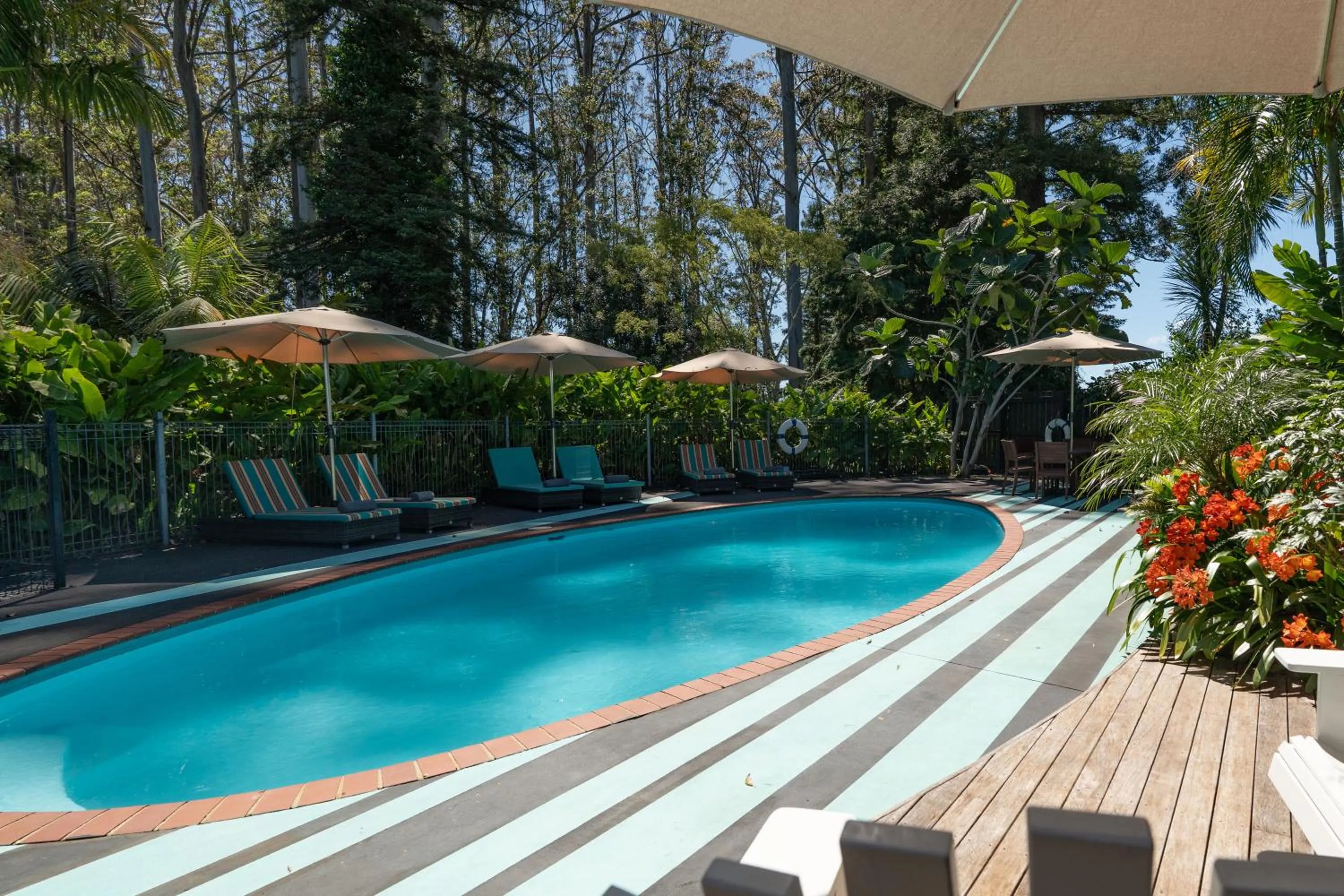 Natural landscape in Stay Kerikeri