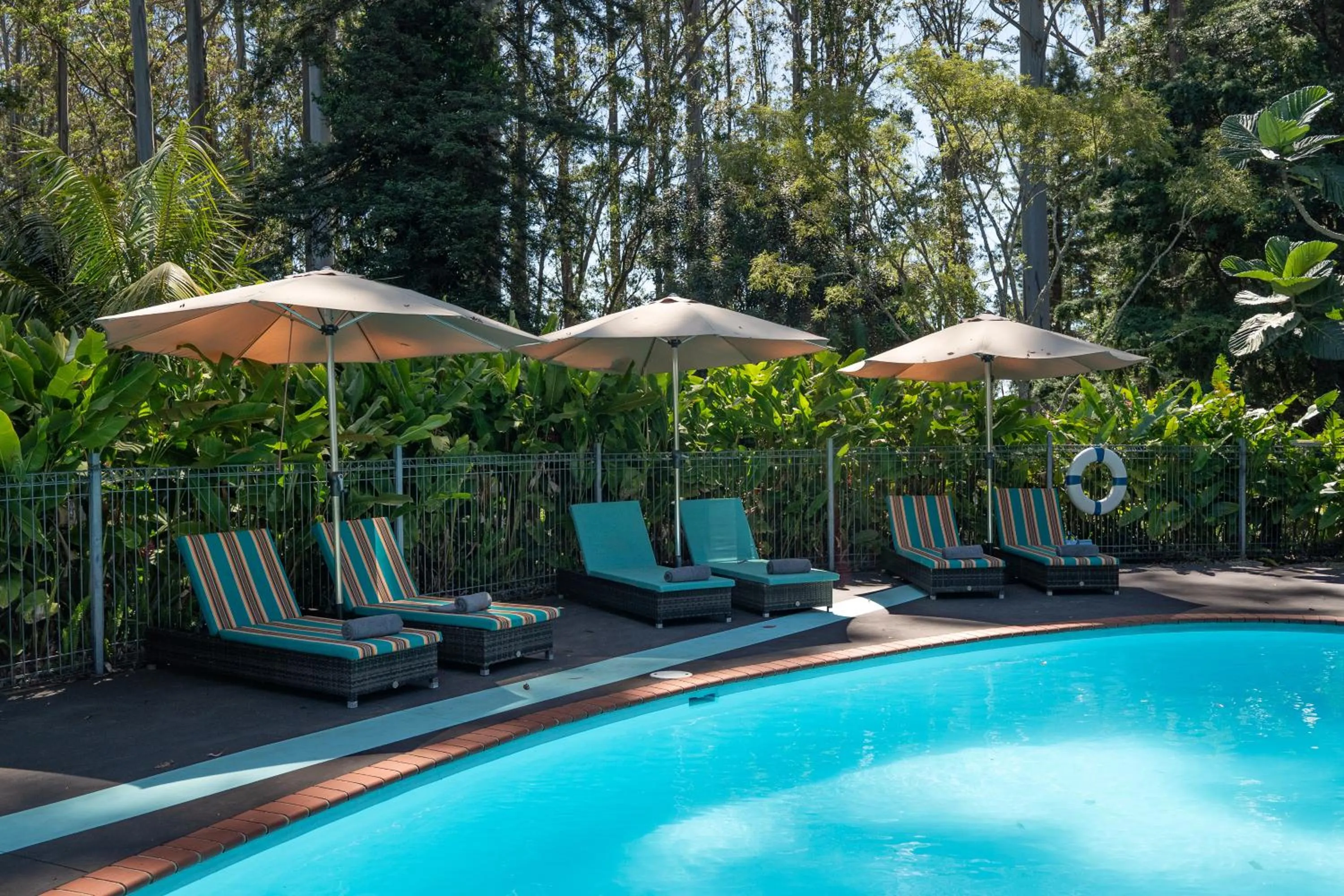 Garden view in Stay Kerikeri