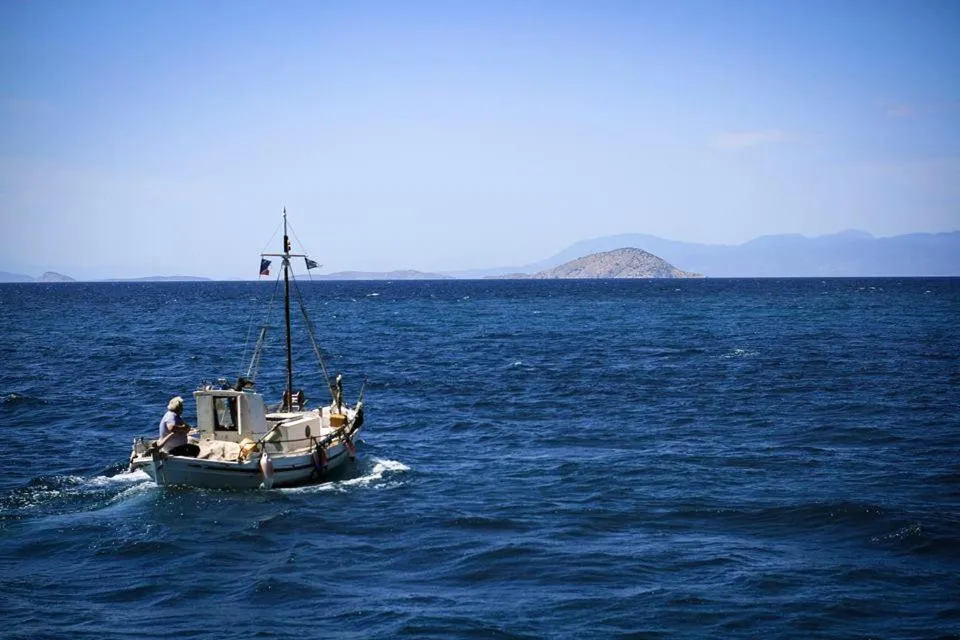 Natural landscape in Plaza