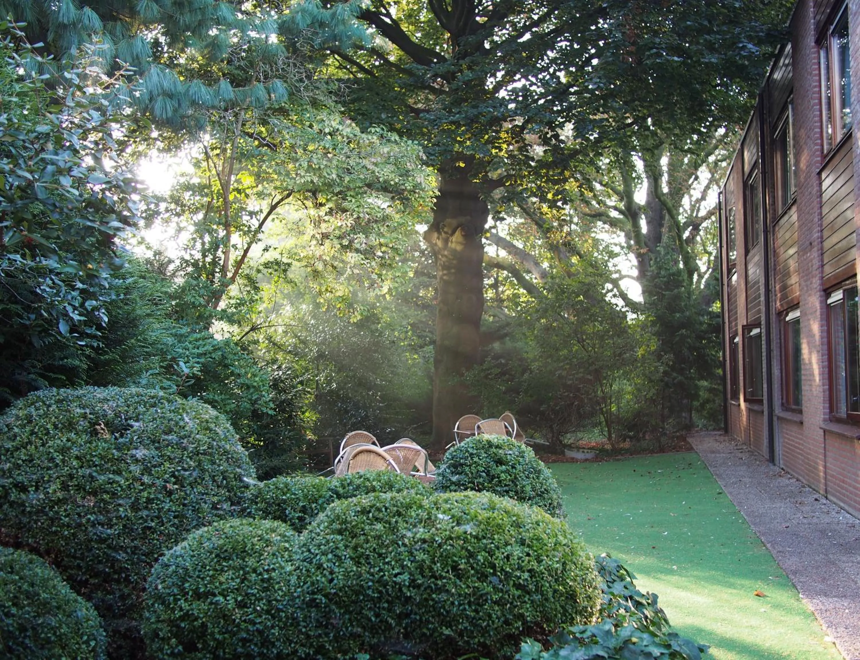 Garden in Hotel Dordrecht