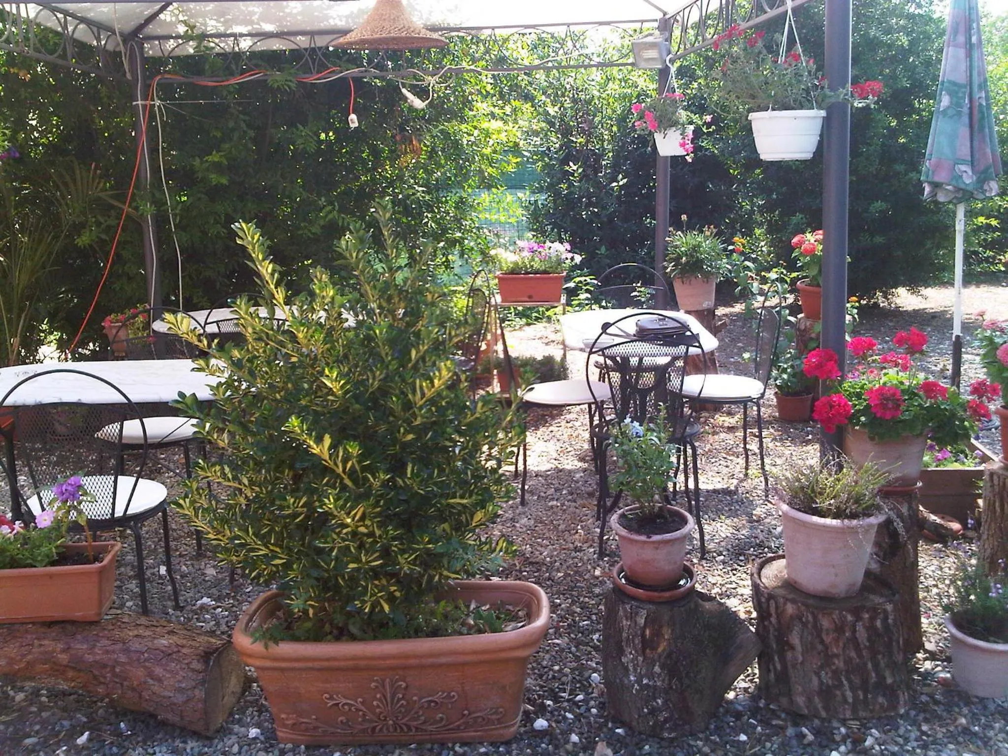 Garden in B&B Il Moscondoro