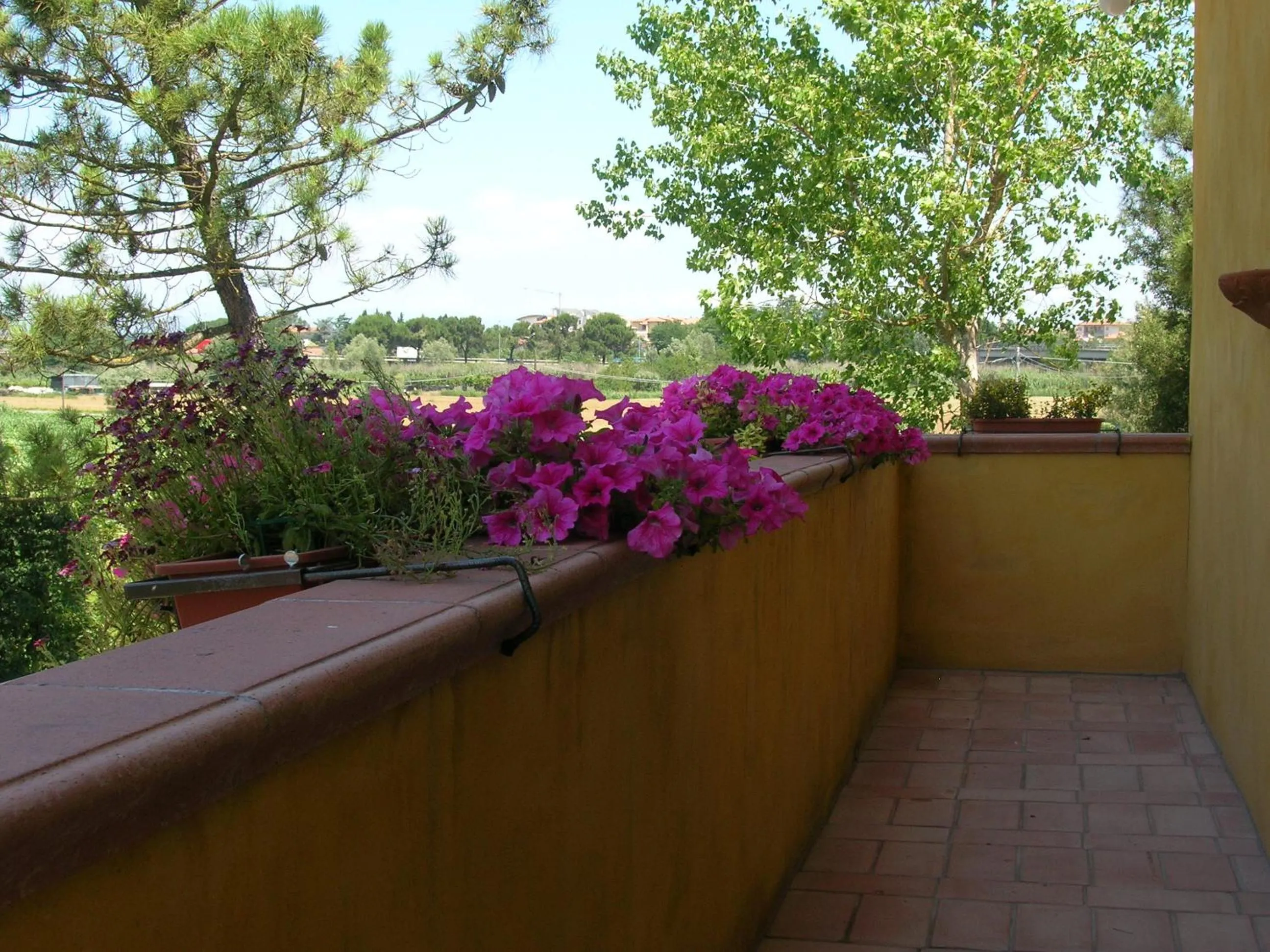Balcony/Terrace in B&B Il Moscondoro
