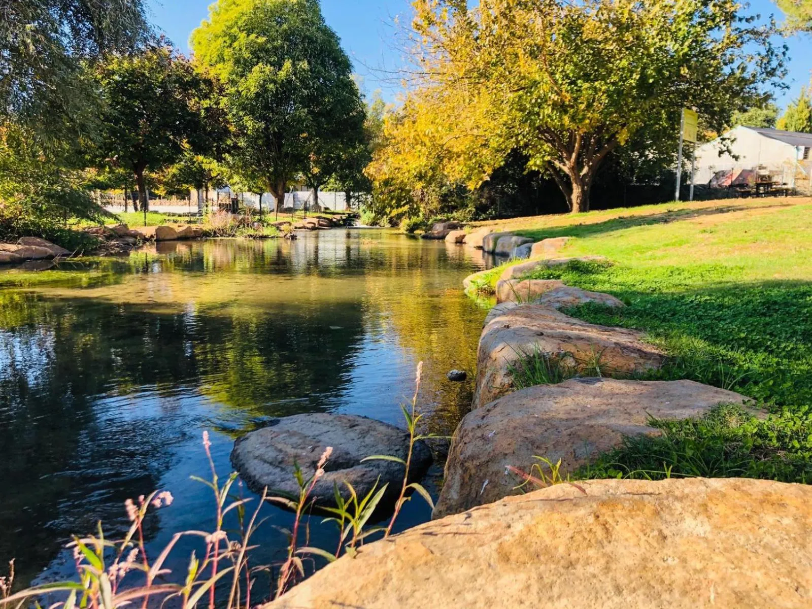 Natural landscape in Erettz Dafna Travel Hotel
