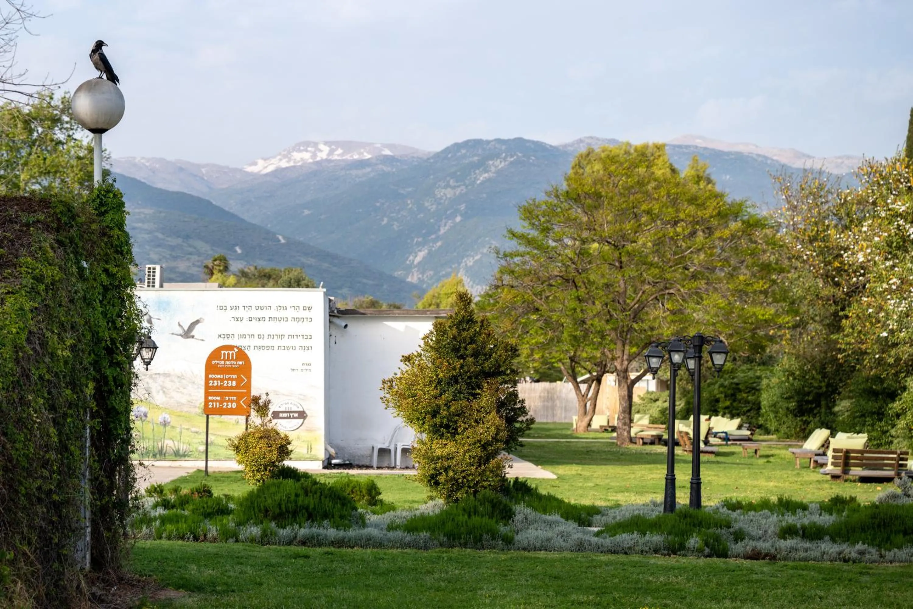 Natural landscape in Erettz Dafna Travel Hotel