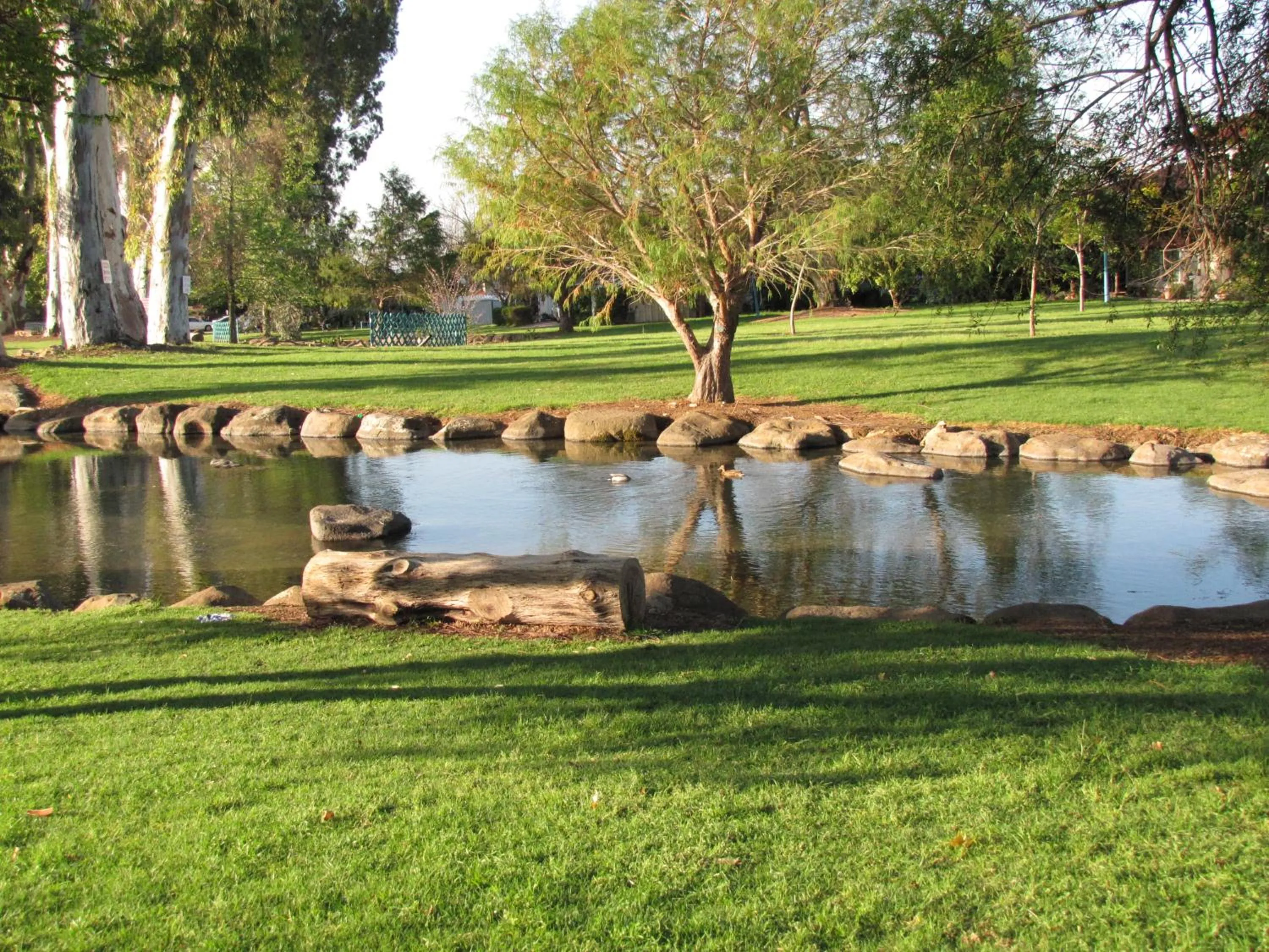 Natural landscape in Erettz Dafna Travel Hotel