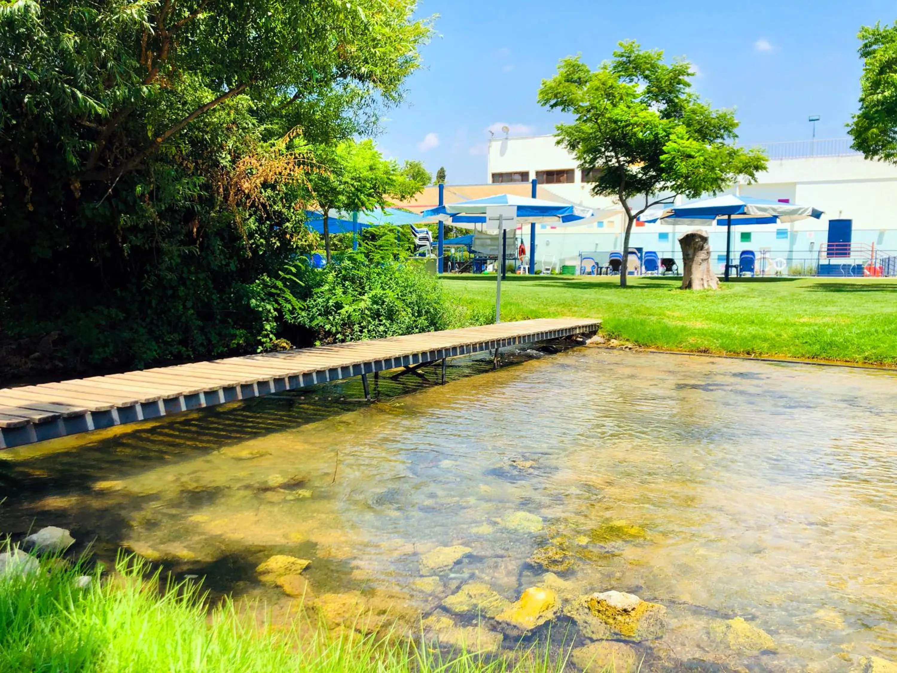 Swimming pool in Erettz Dafna Travel Hotel