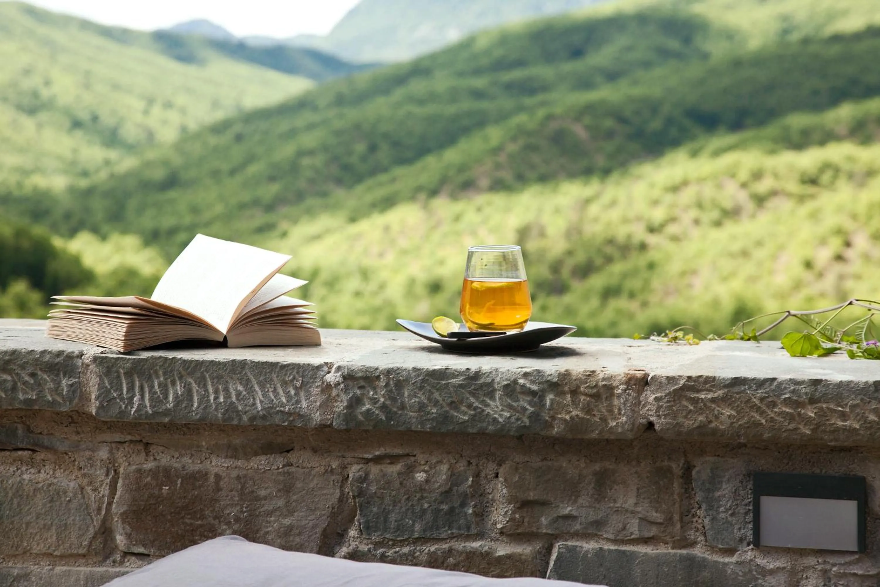 View (from property/room) in Kipi Suites