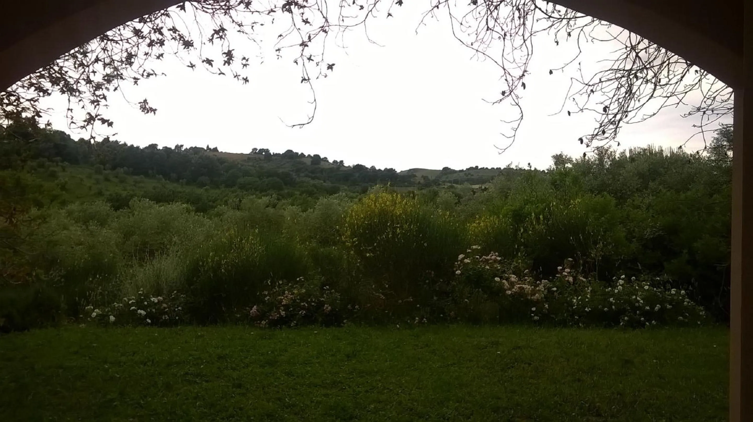 Garden view in Il Melograno Country House