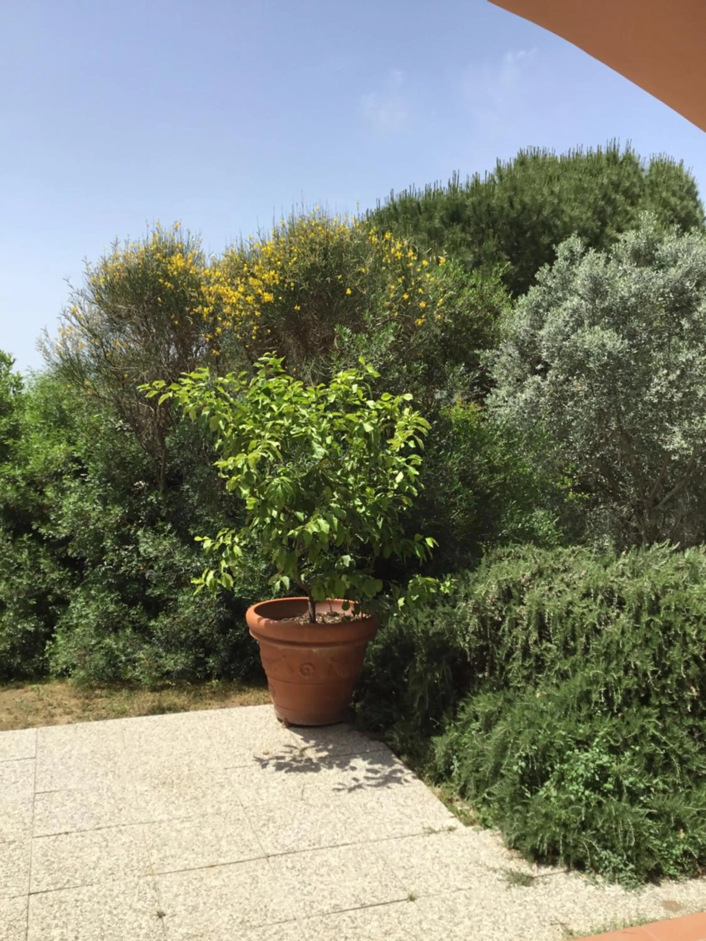 Il Melograno Country House