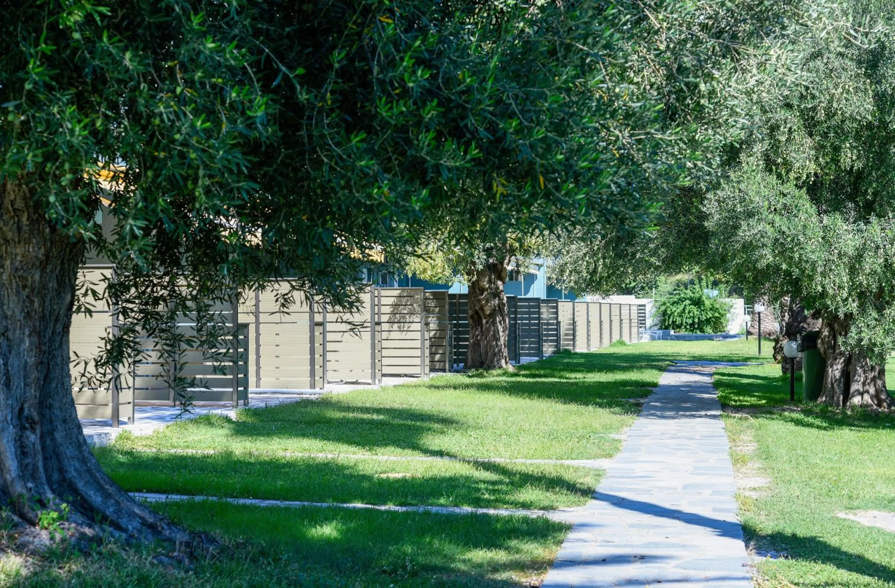 Natural landscape in Mendi Hotel