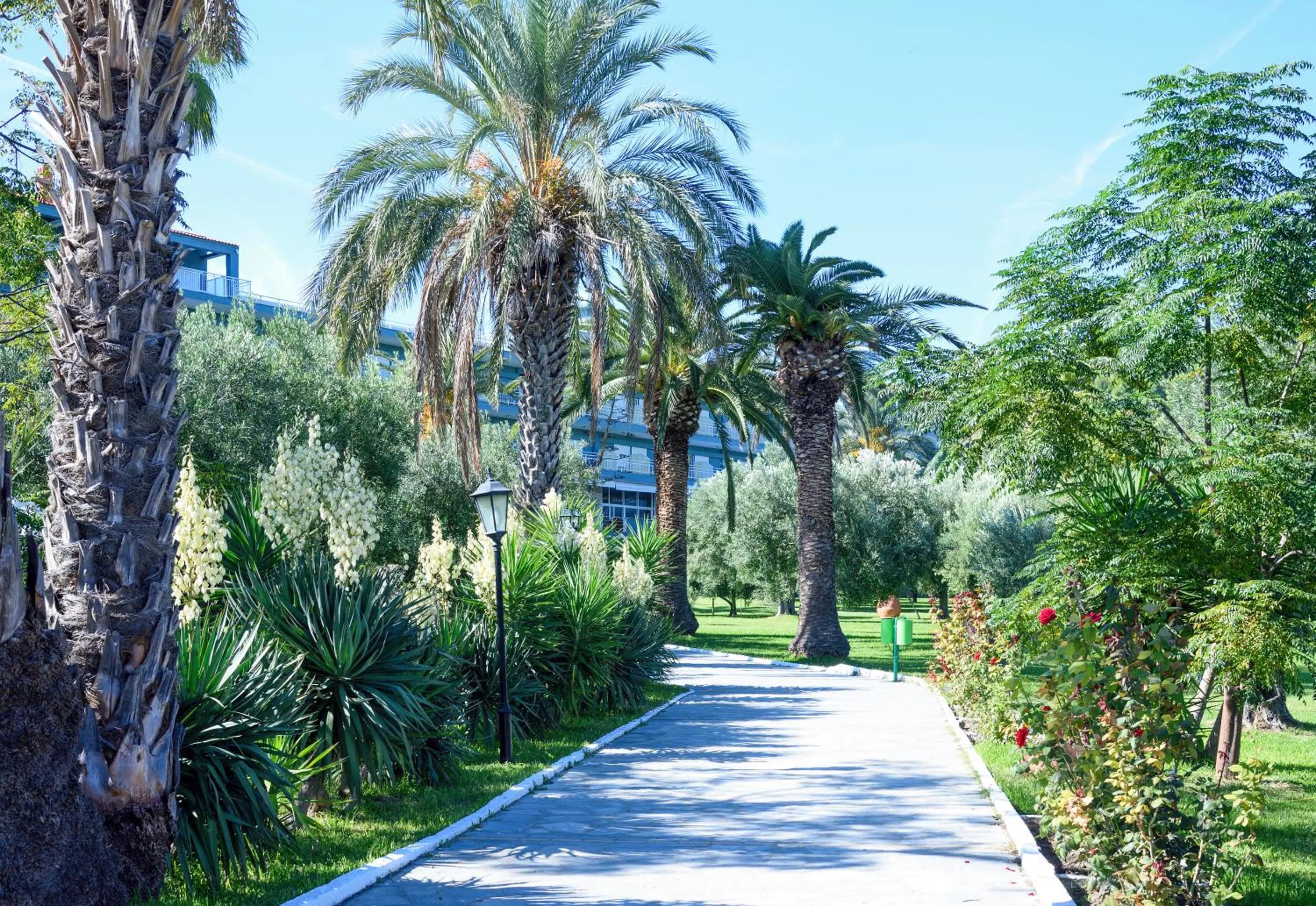 Natural landscape in Mendi Hotel
