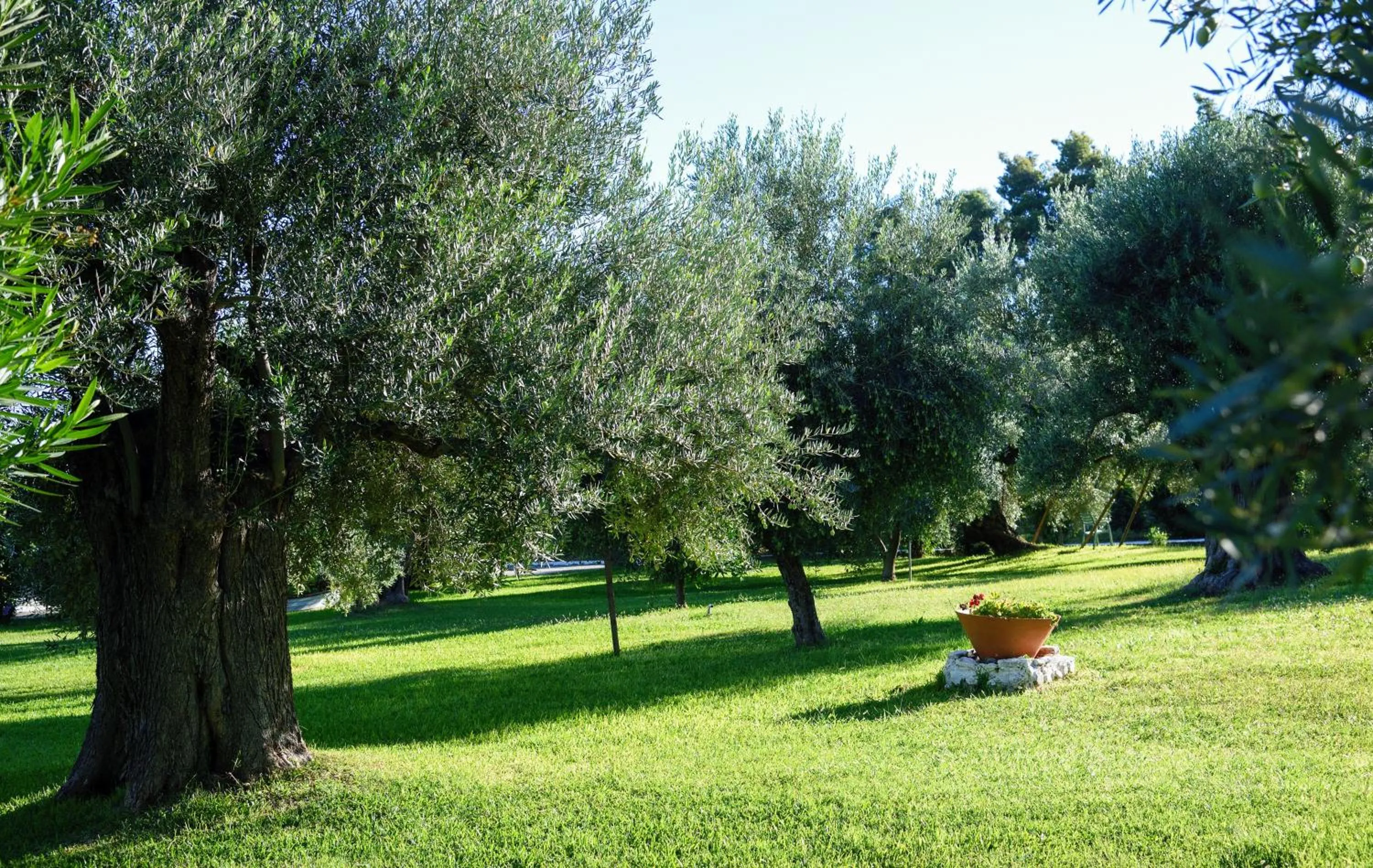 Natural landscape in Mendi Hotel