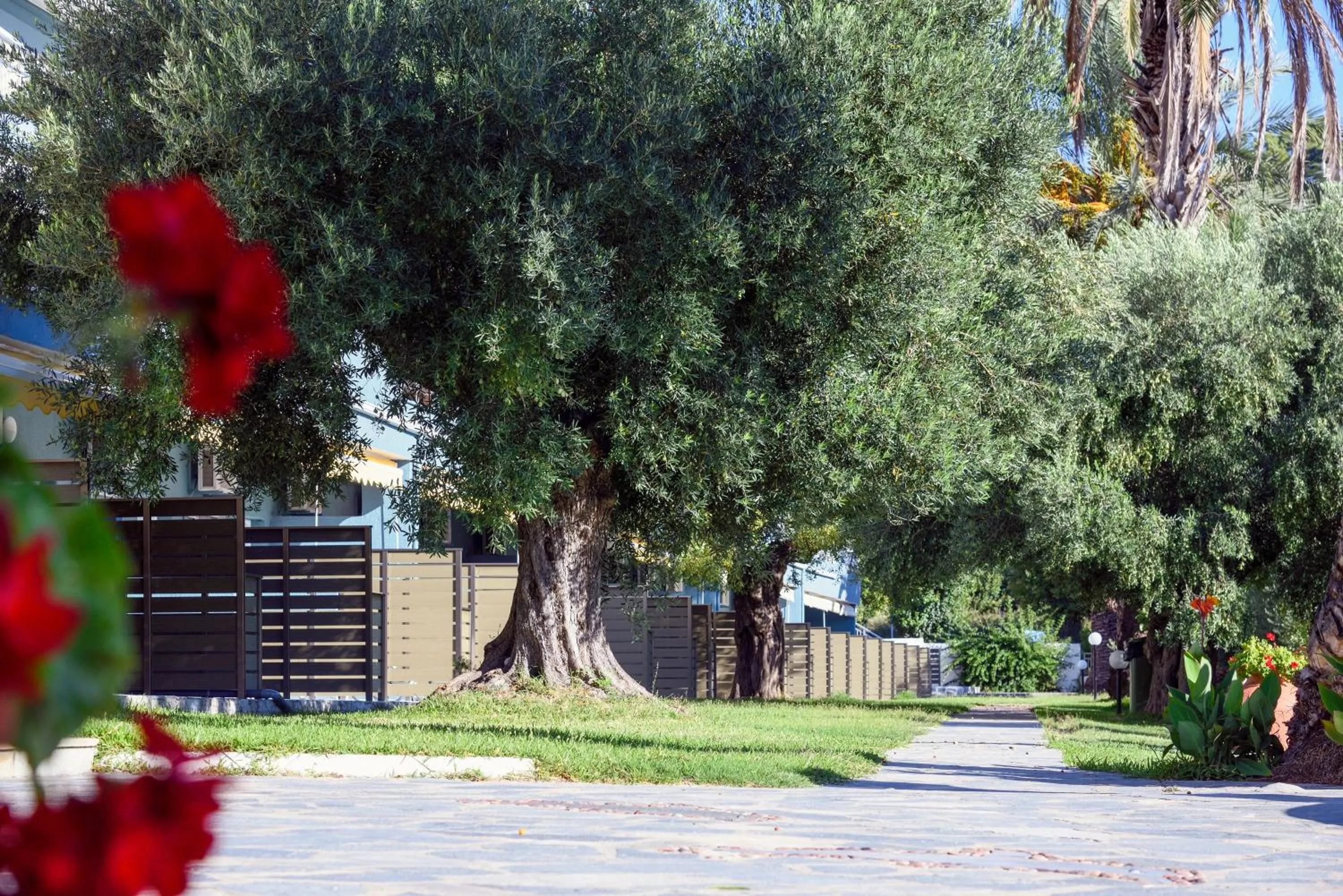Garden in Mendi Hotel