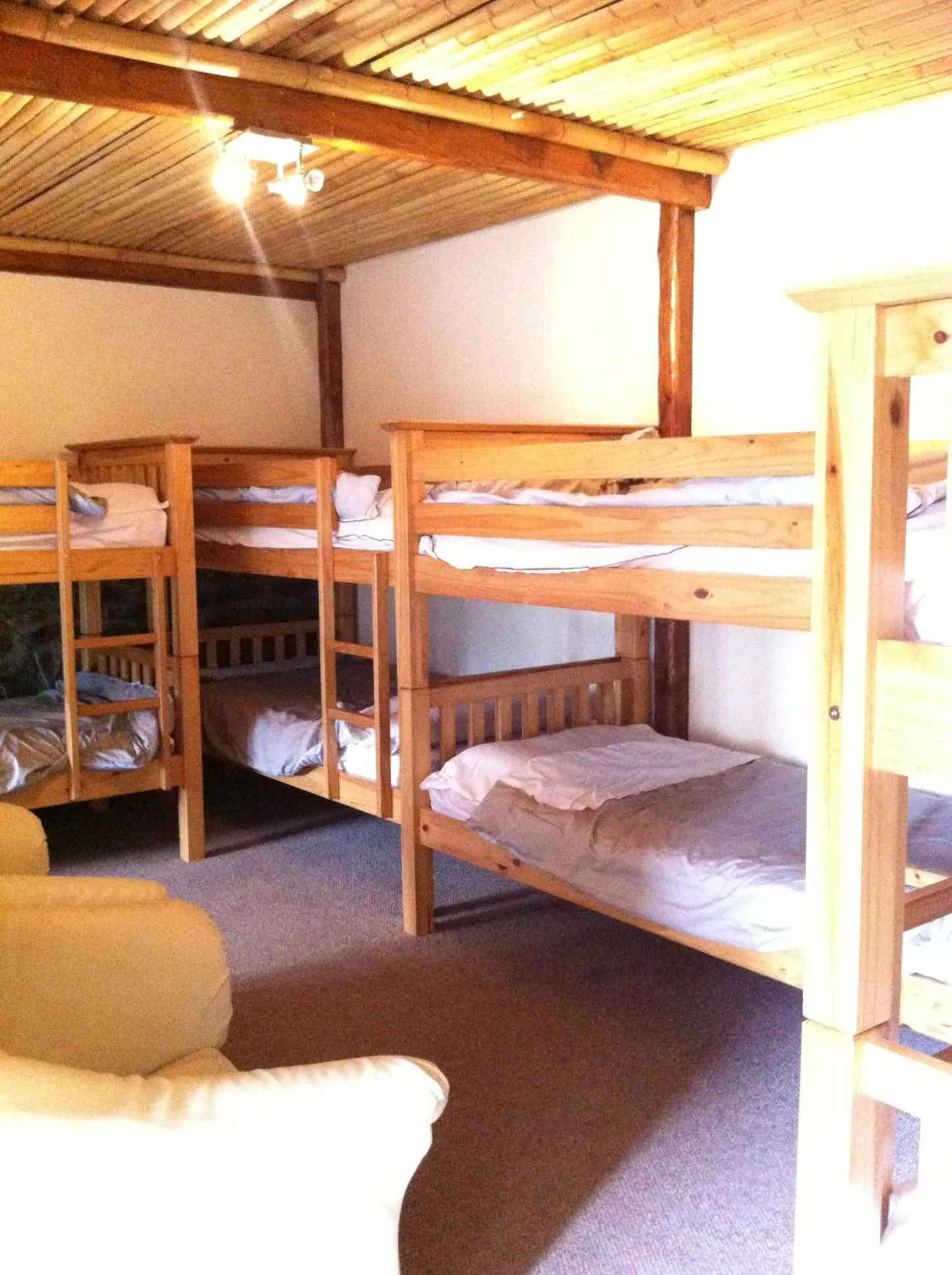 bunk bed, Bed in Pantyrathro International Hostel