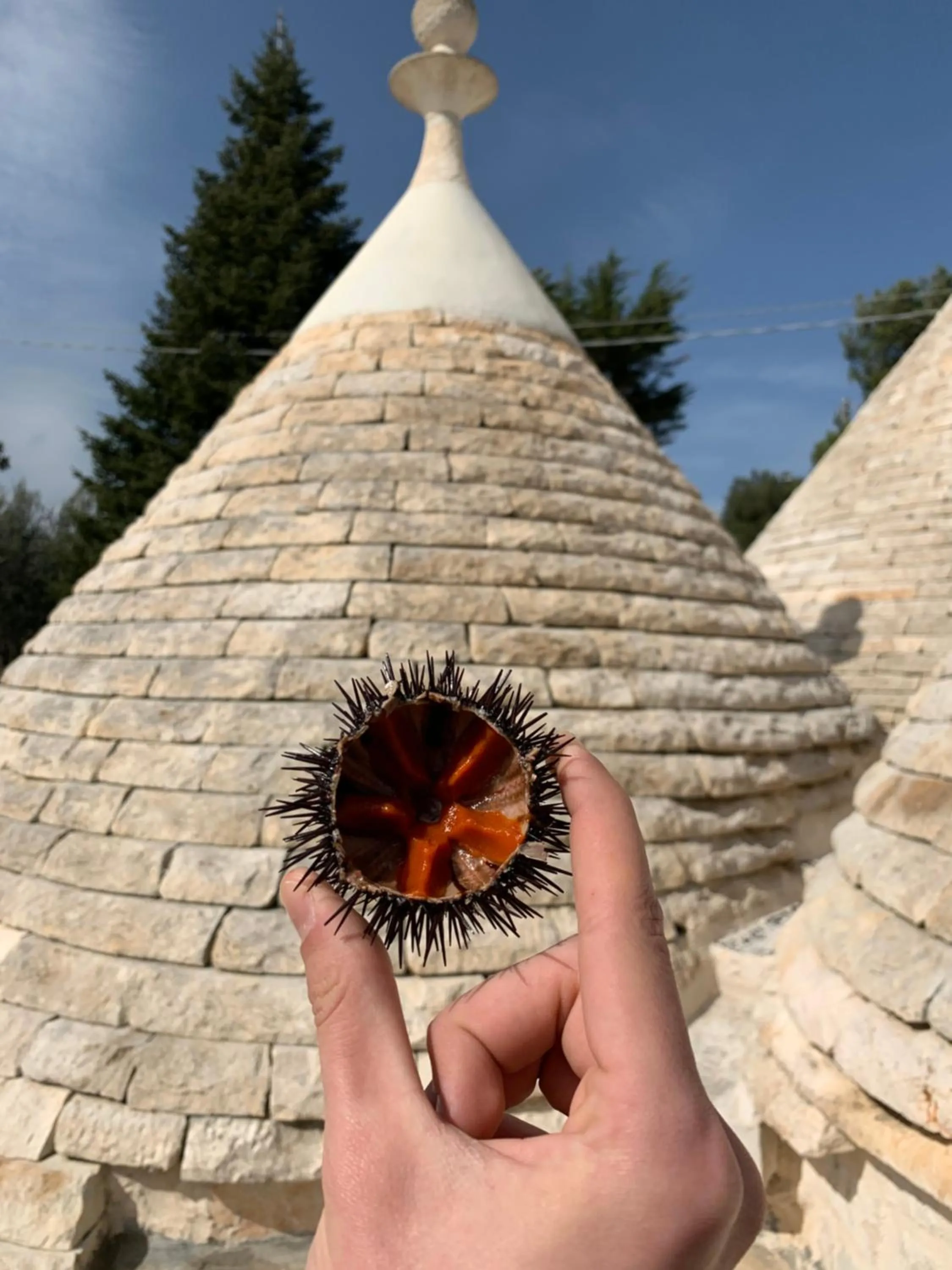 Food in I Trulli del Tupparello