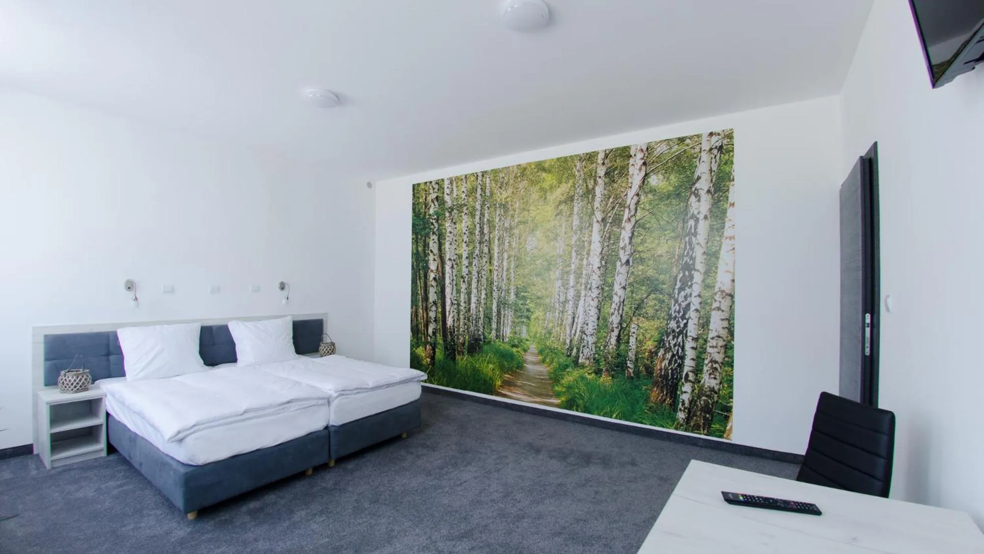 Photo of the whole room, Bed in Hotel Roztocze