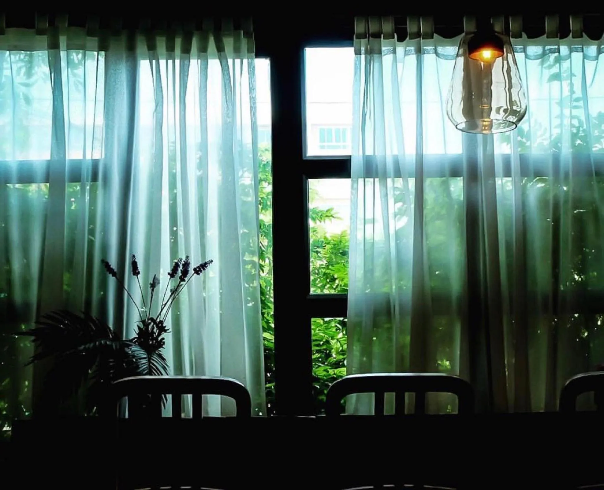 Garden in Rowhou8e Hostel Hua Hin 106