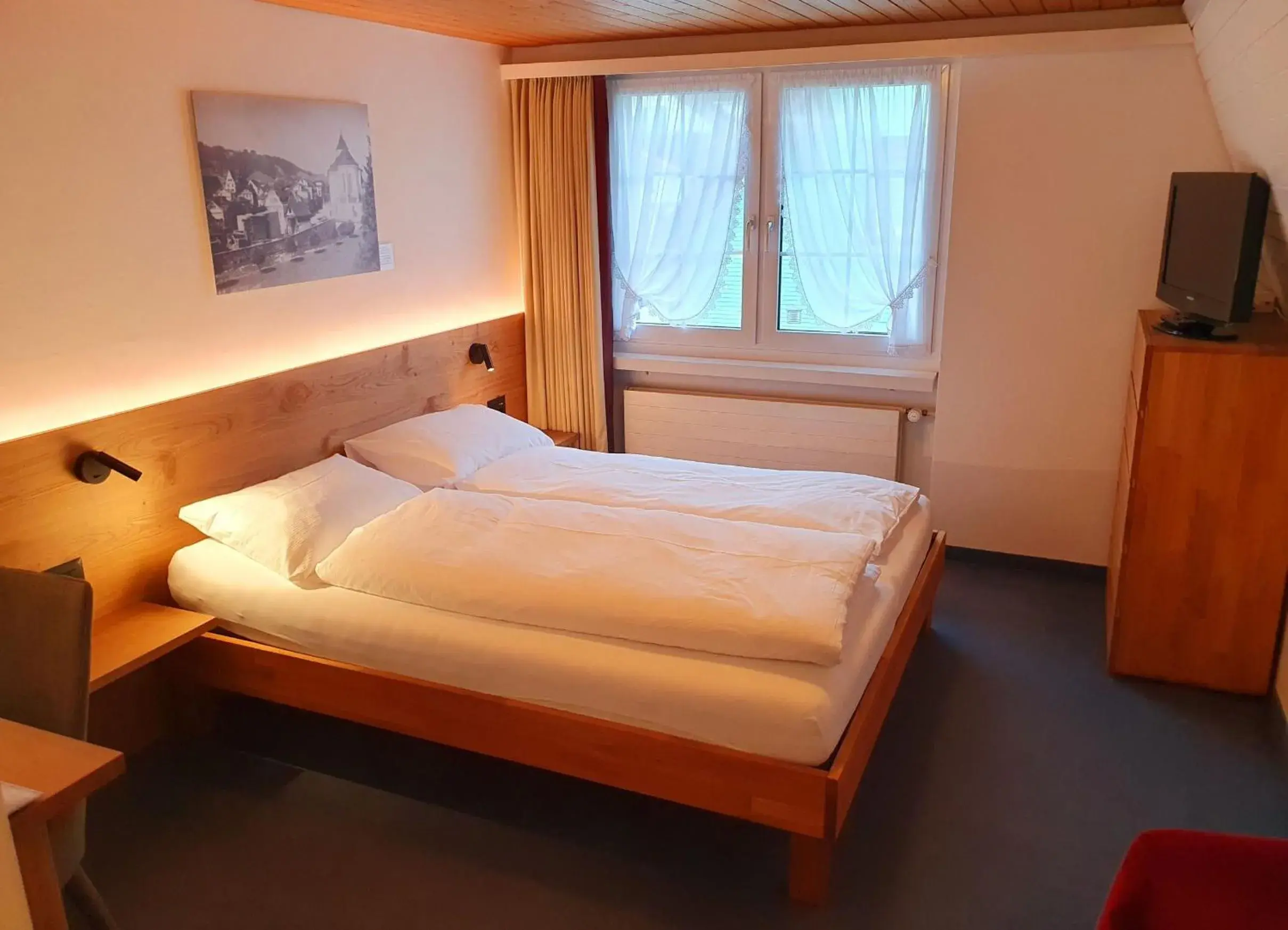 Double Room - single occupancy in Adler Hotel Double Room - single occupancy in Adler Hotel