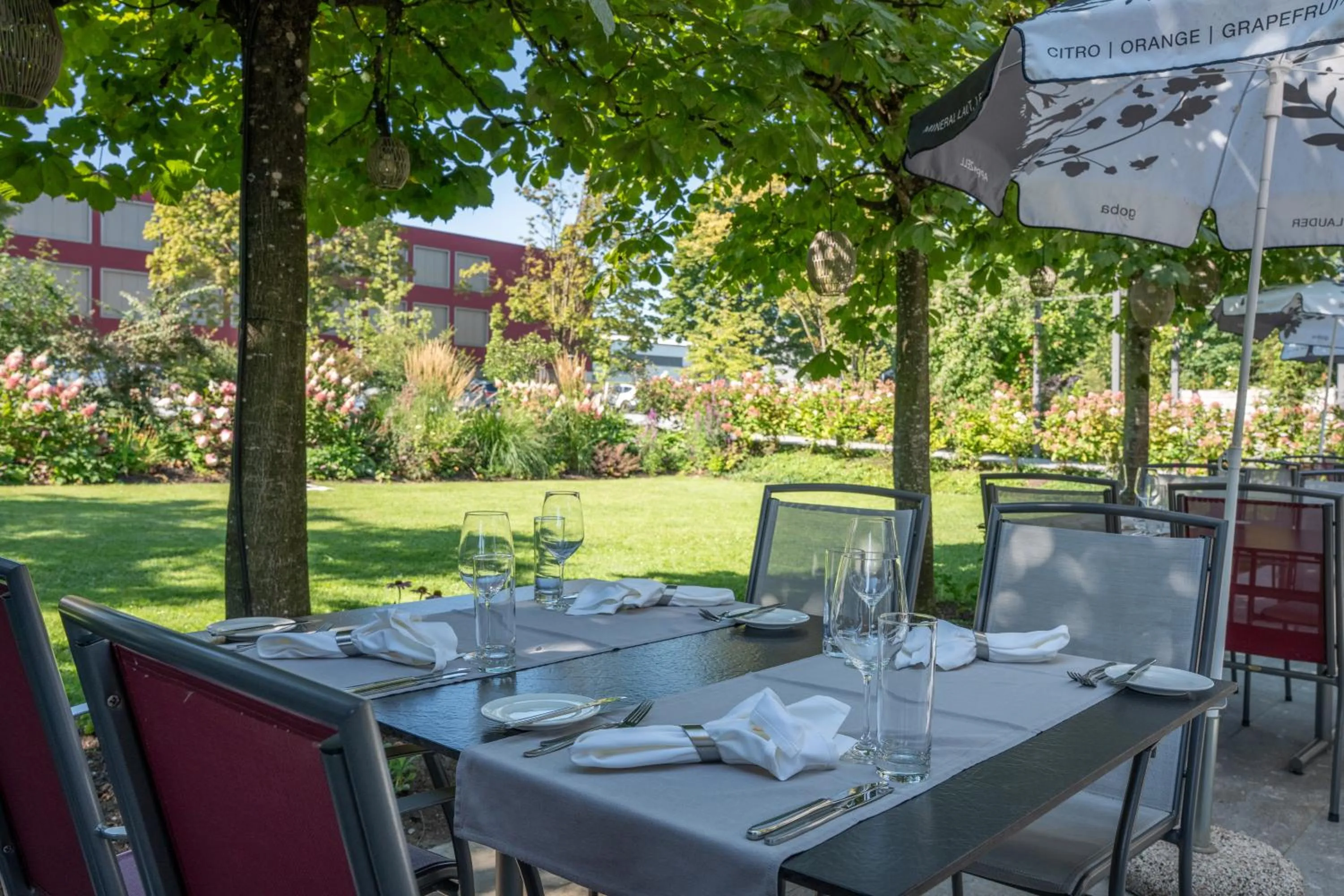 Garden in Hotel Restaurant Seegarten