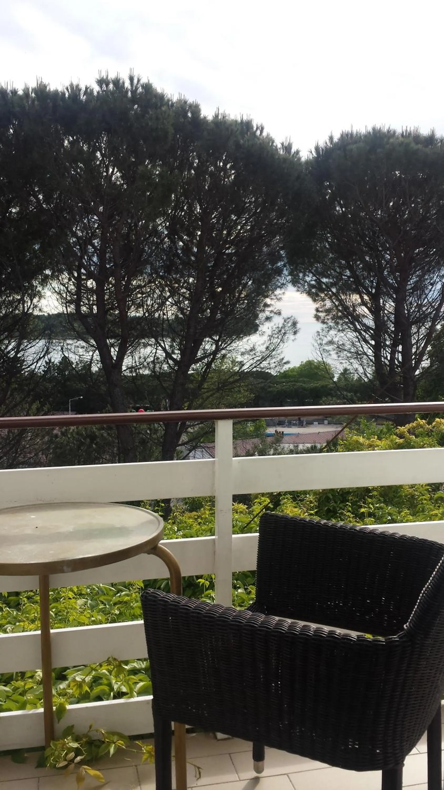 Sea view in Hotel Ristorante Sole