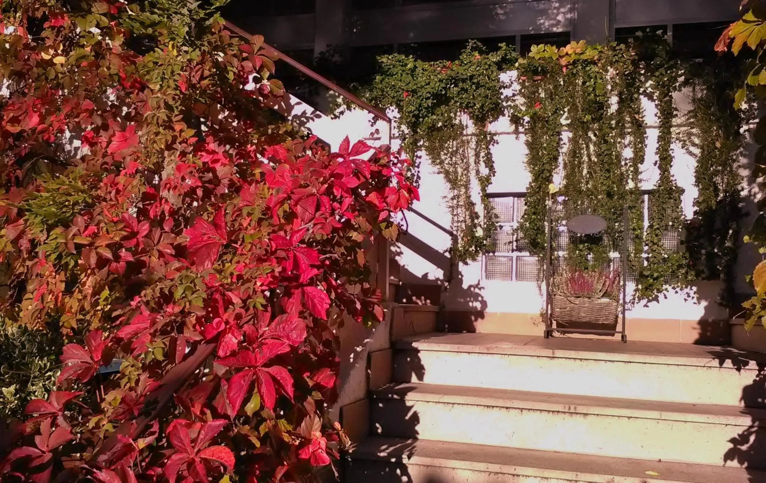 Facade/entrance in Hotel Ristorante Sole