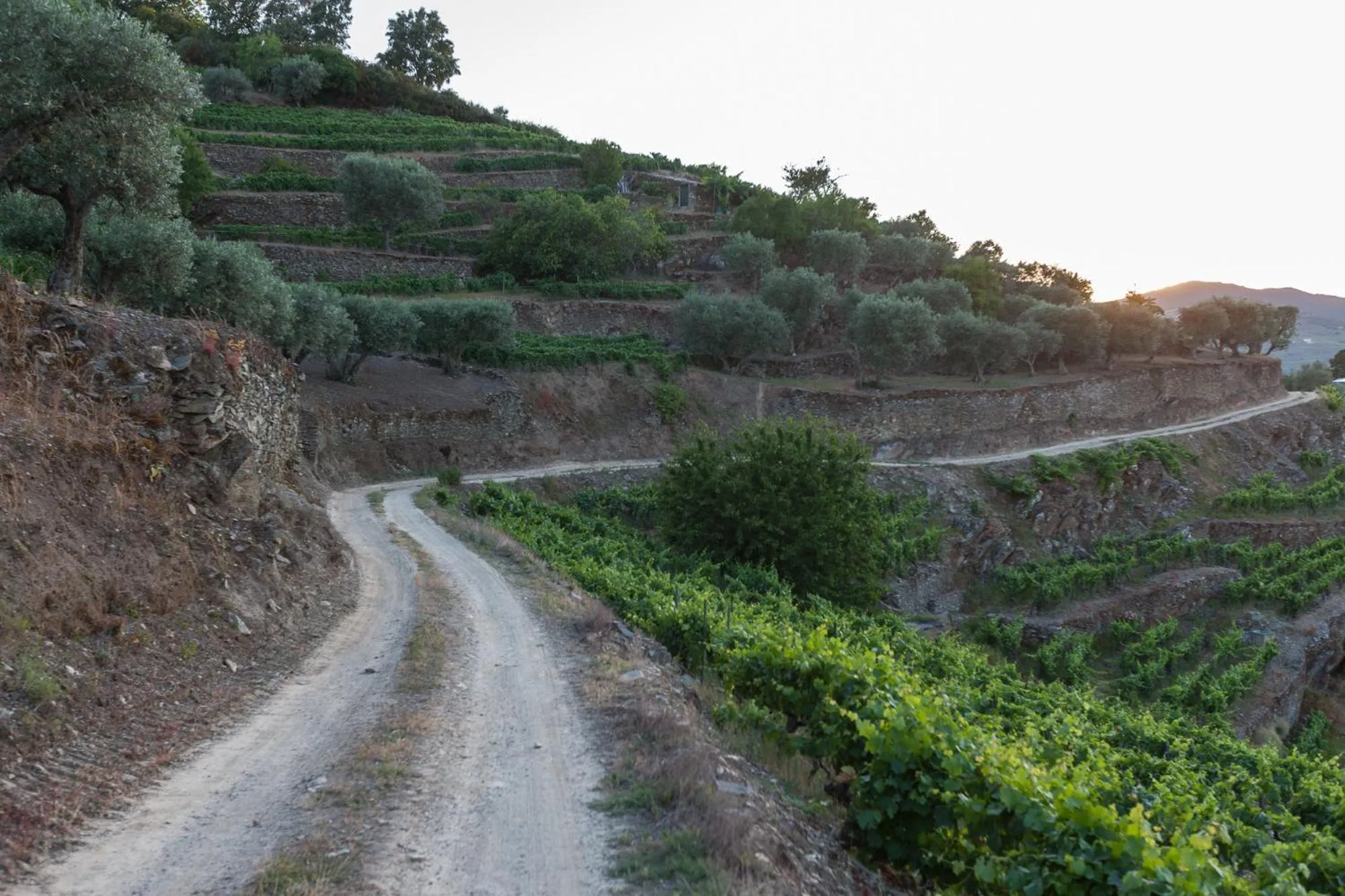 Activities in Casa De Casal De Loivos
