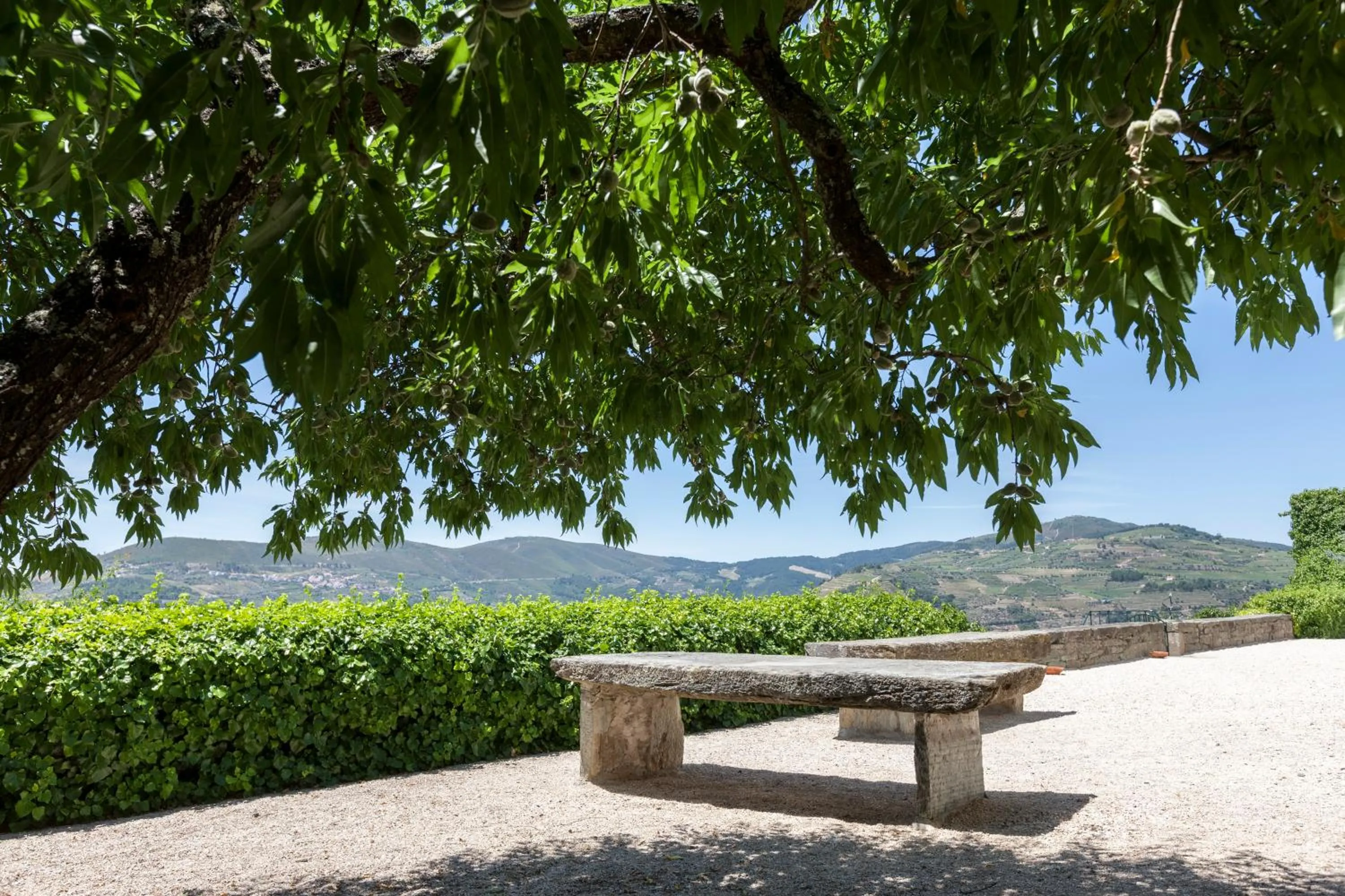Balcony/Terrace in Casa De Casal De Loivos