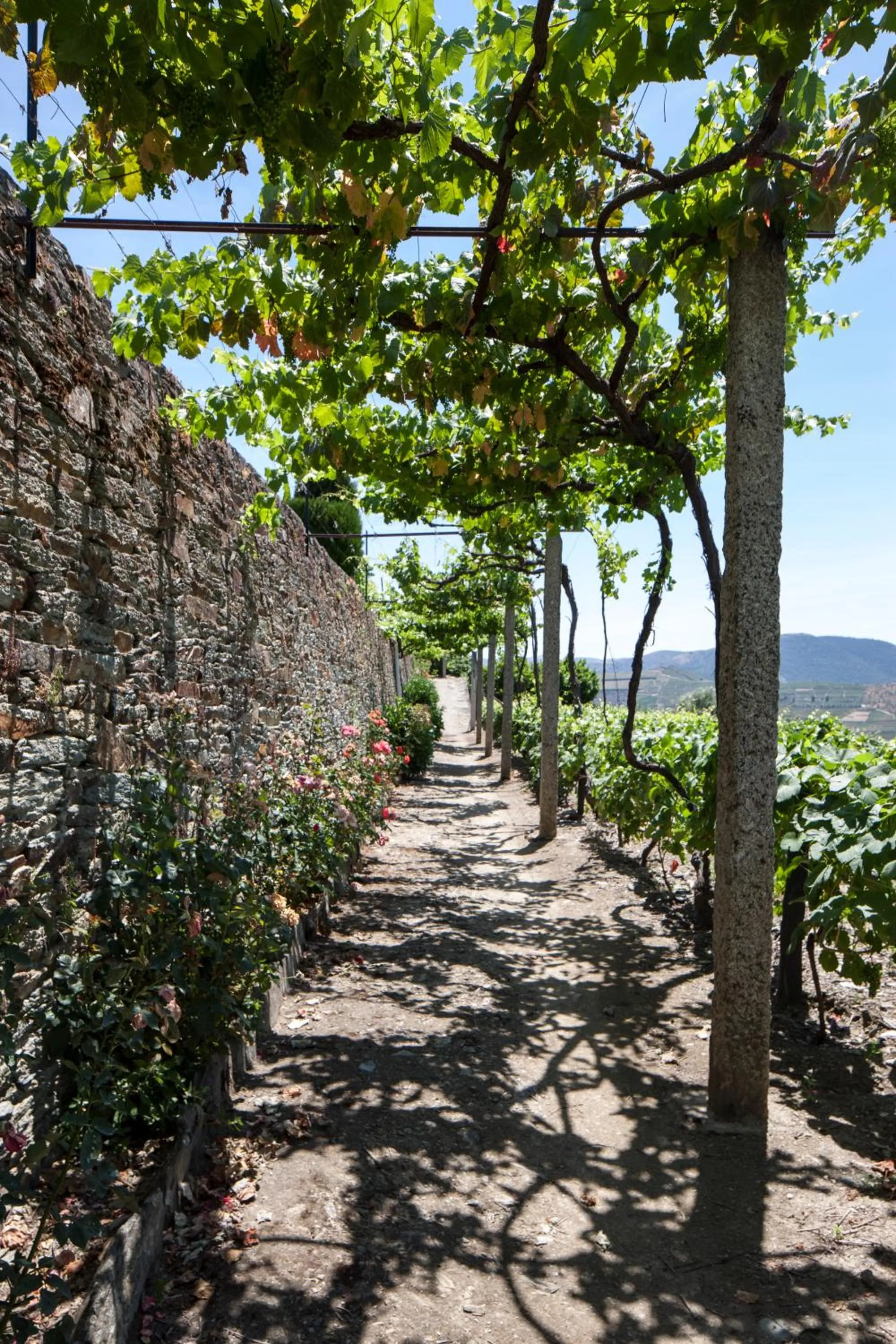 Garden in Casa De Casal De Loivos