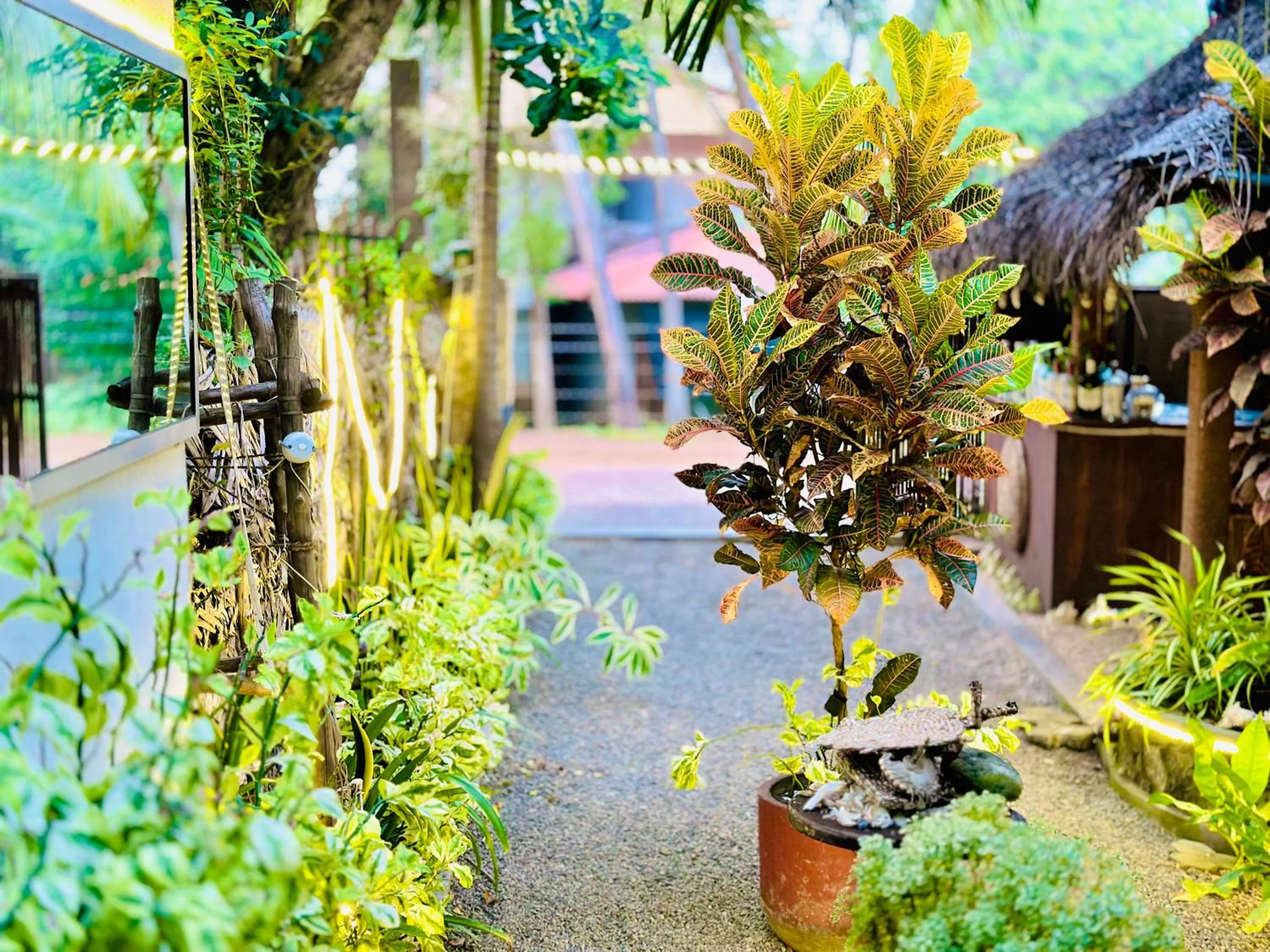 Spring in Rekawa Turtle Gate Hotel