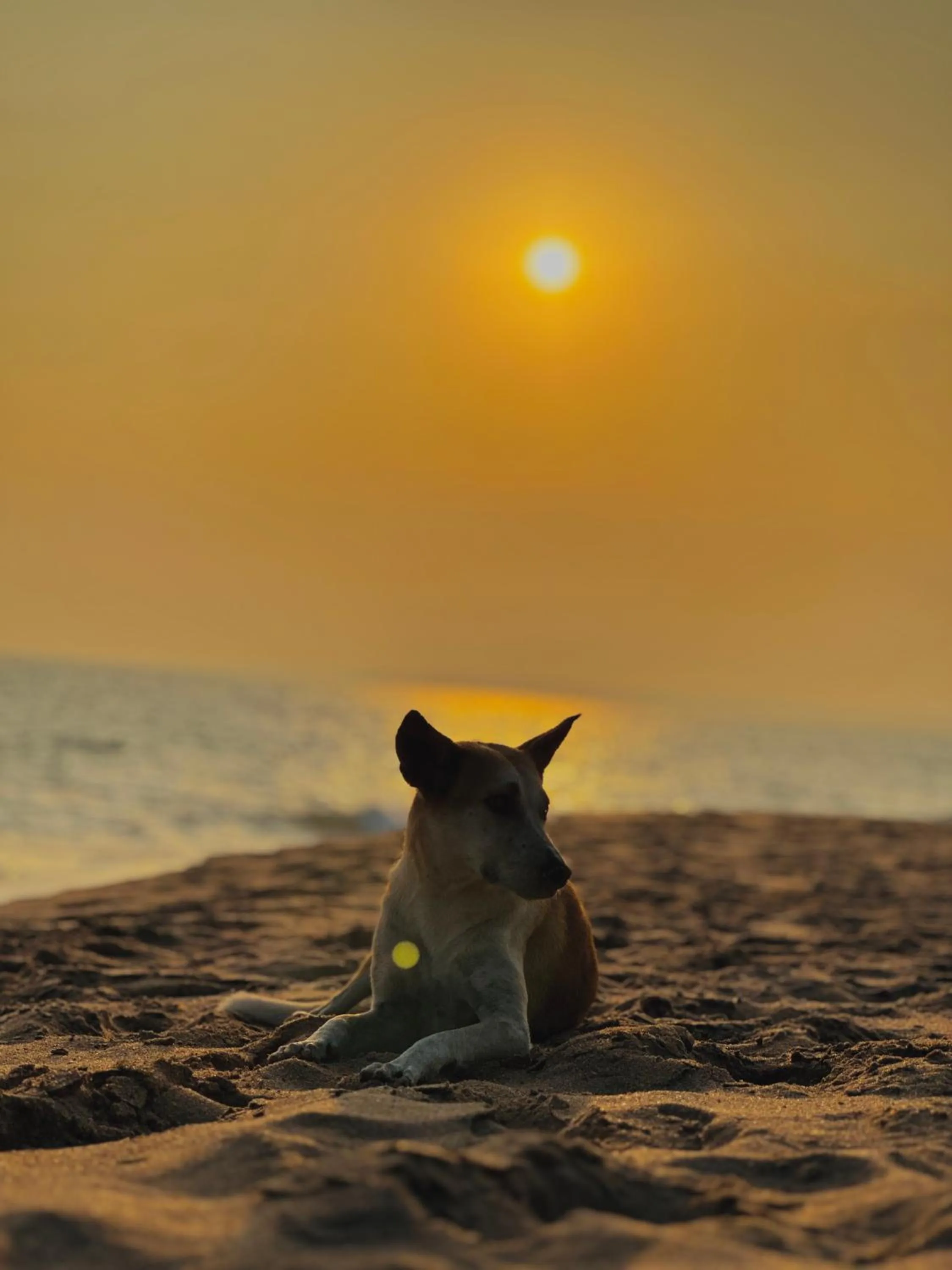 Rekawa Turtle Gate Hotel