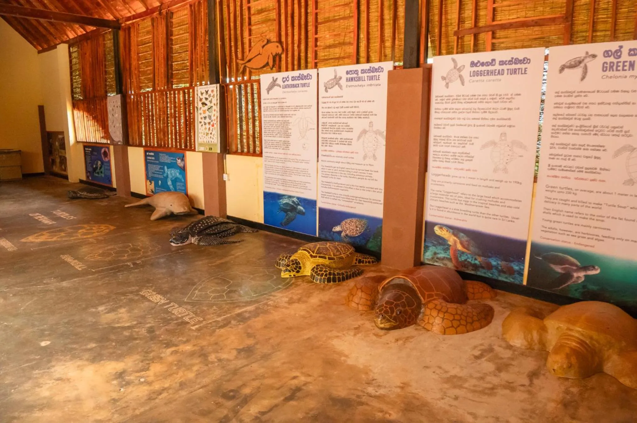 Beach in Rekawa Turtle Gate Hotel