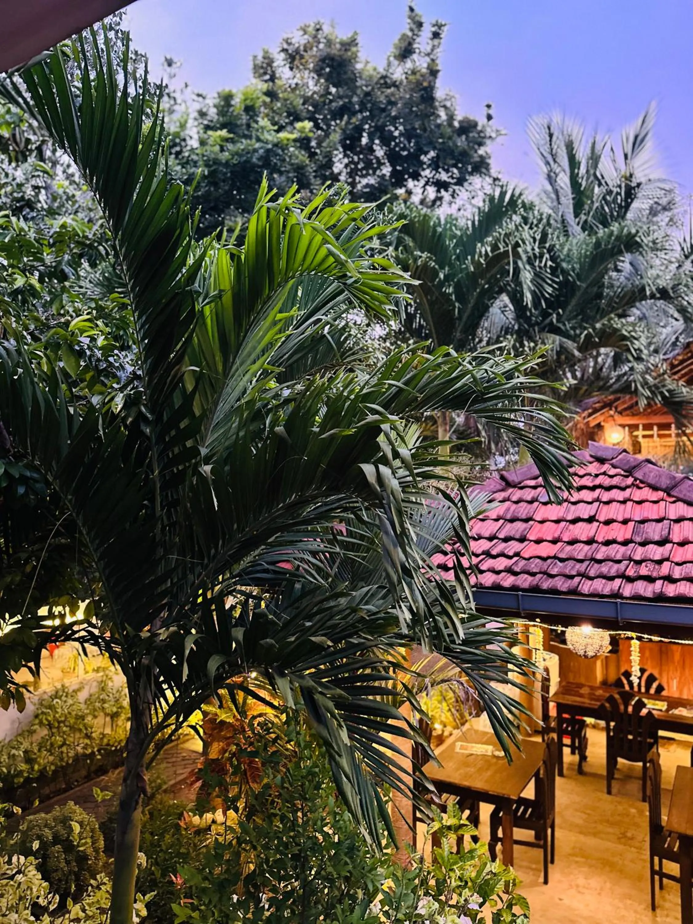 Spring in Rekawa Turtle Gate Hotel