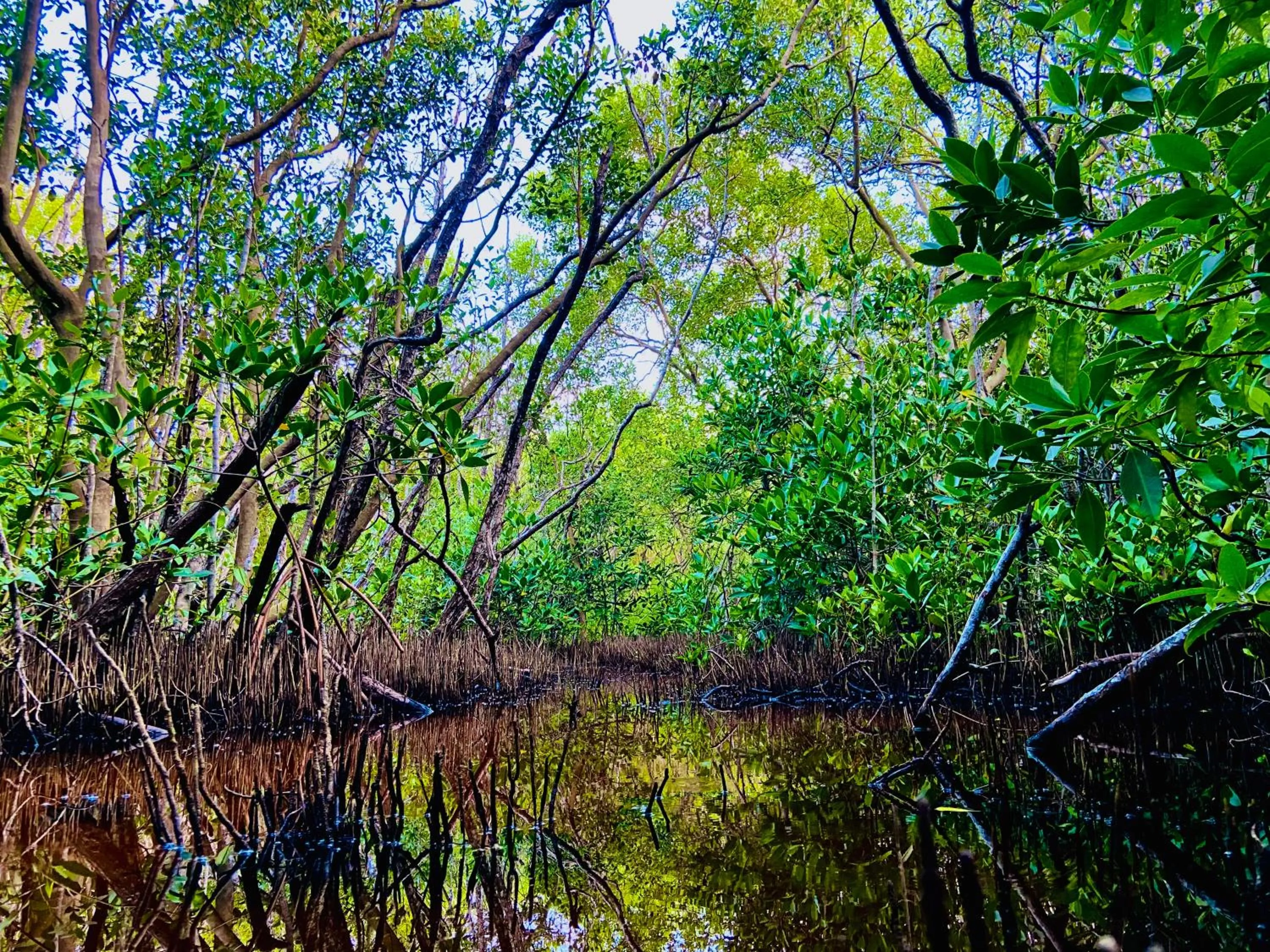 Spring in Rekawa Turtle Gate Hotel