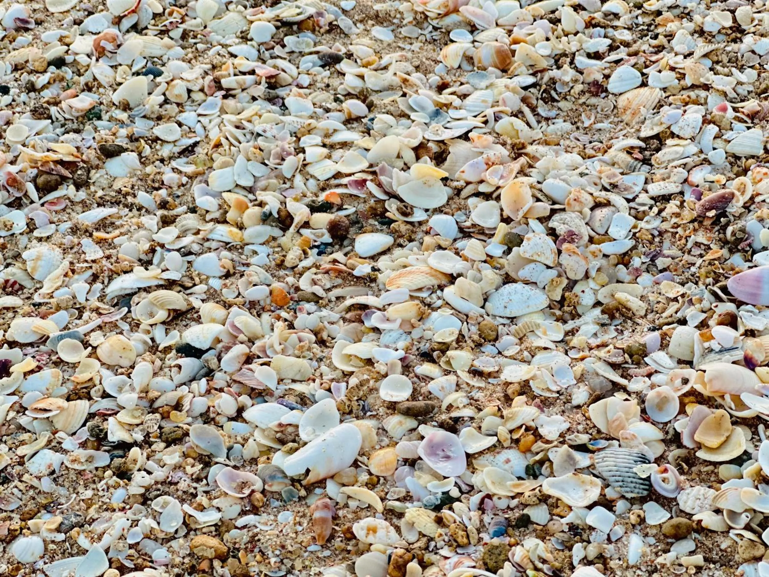 Rekawa Turtle Gate Hotel