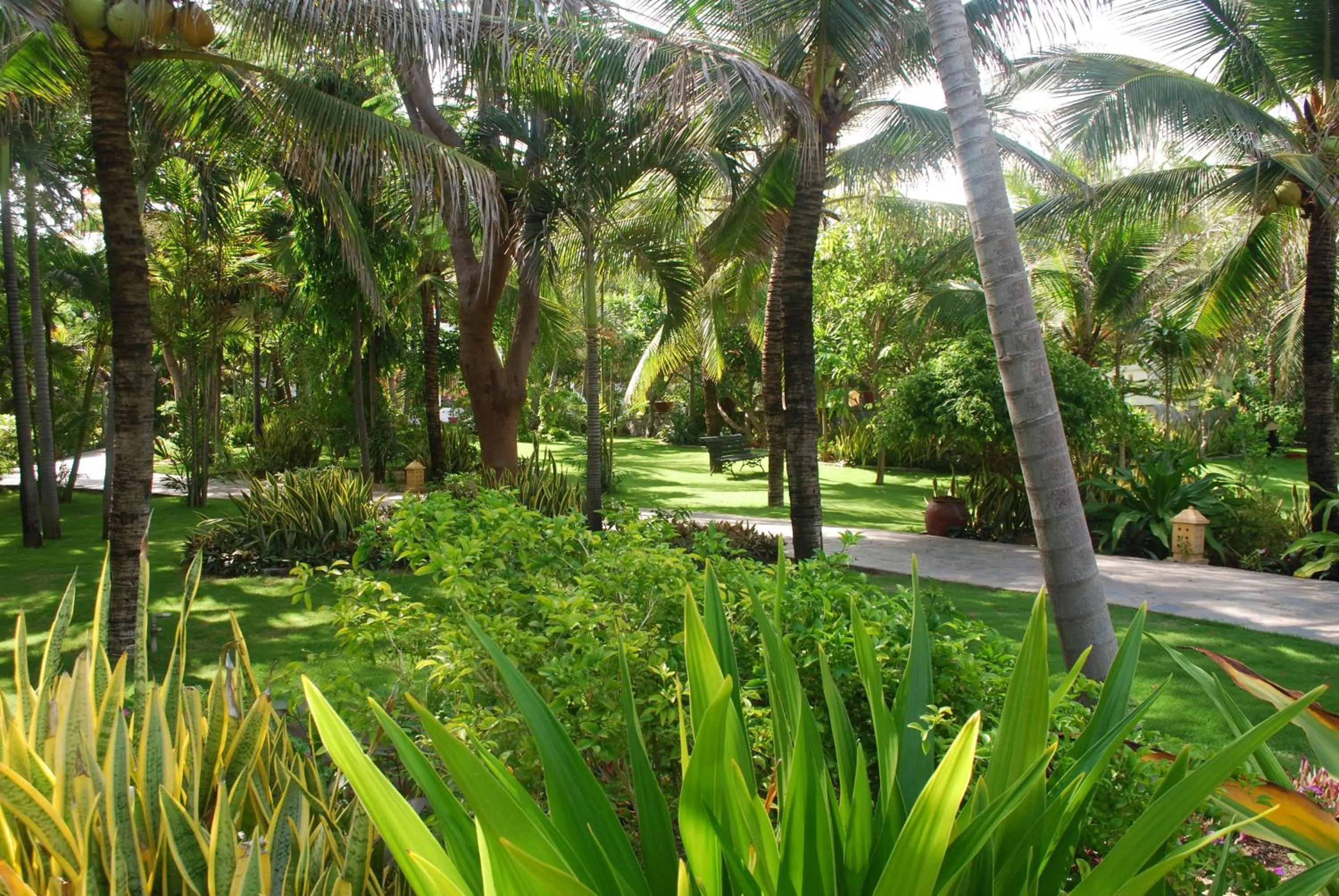 Natural landscape in Allezboo Beach Resort & Spa