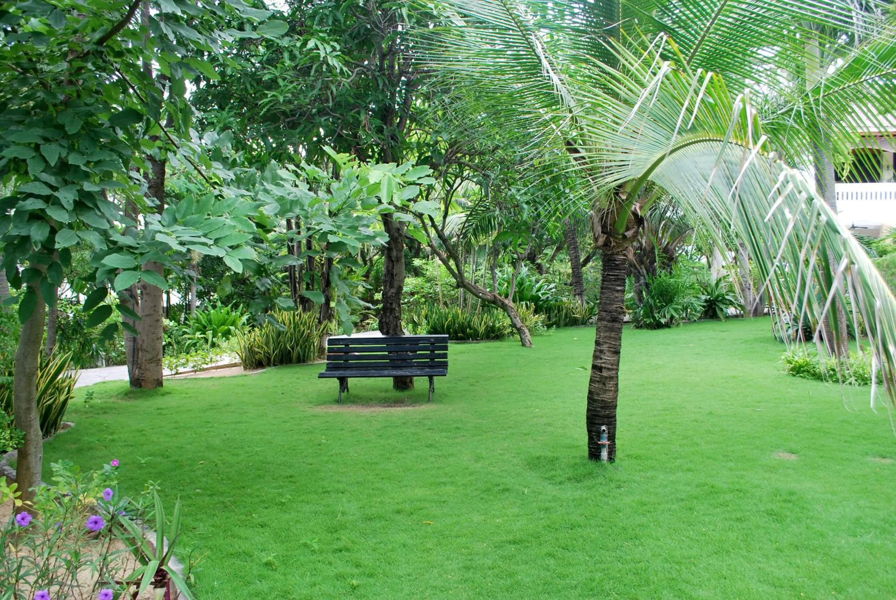 Garden in Allezboo Beach Resort & Spa