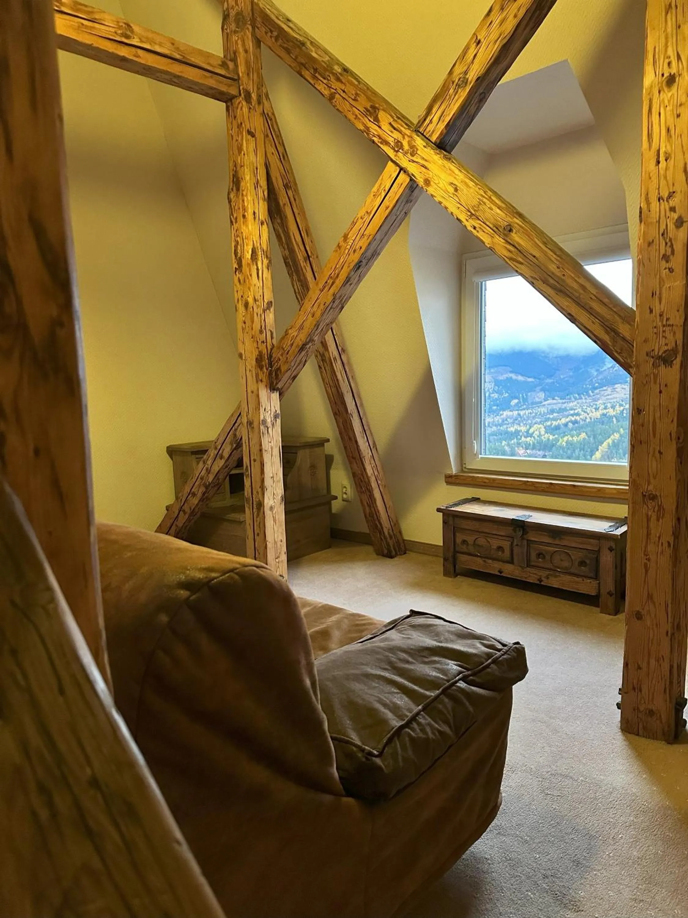 Photo of the whole room in Tarasy Wang