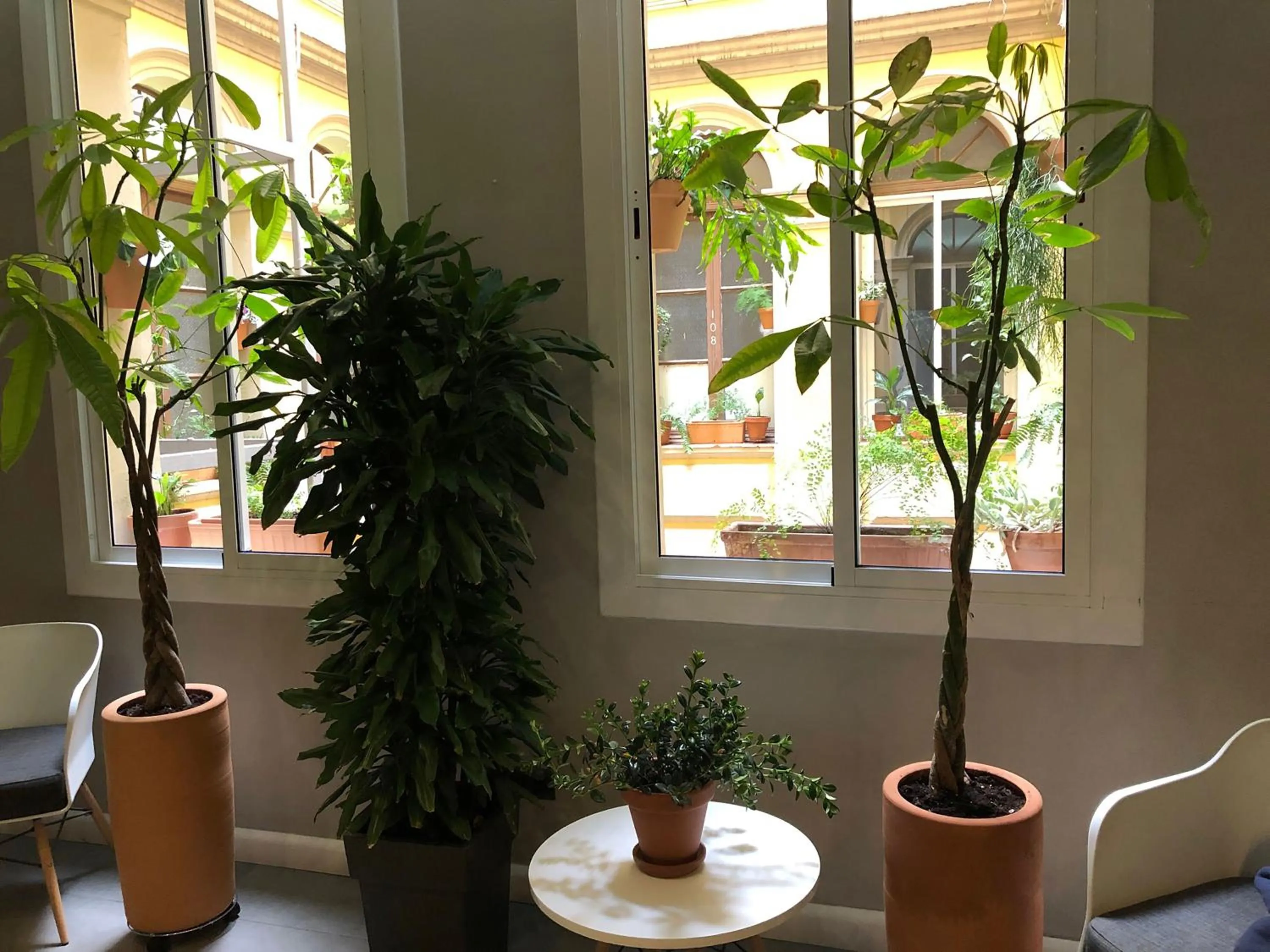 Property building in Plaza Goya Rooms