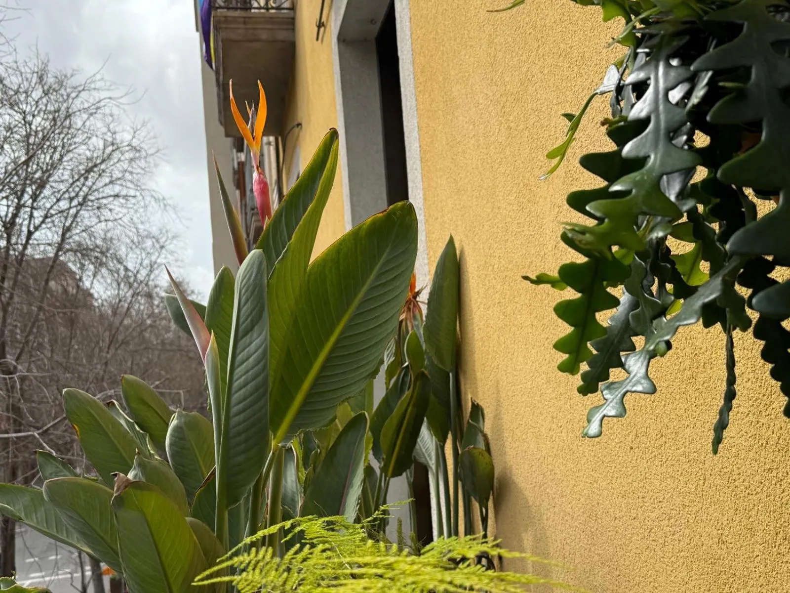 Property building in Plaza Goya Rooms